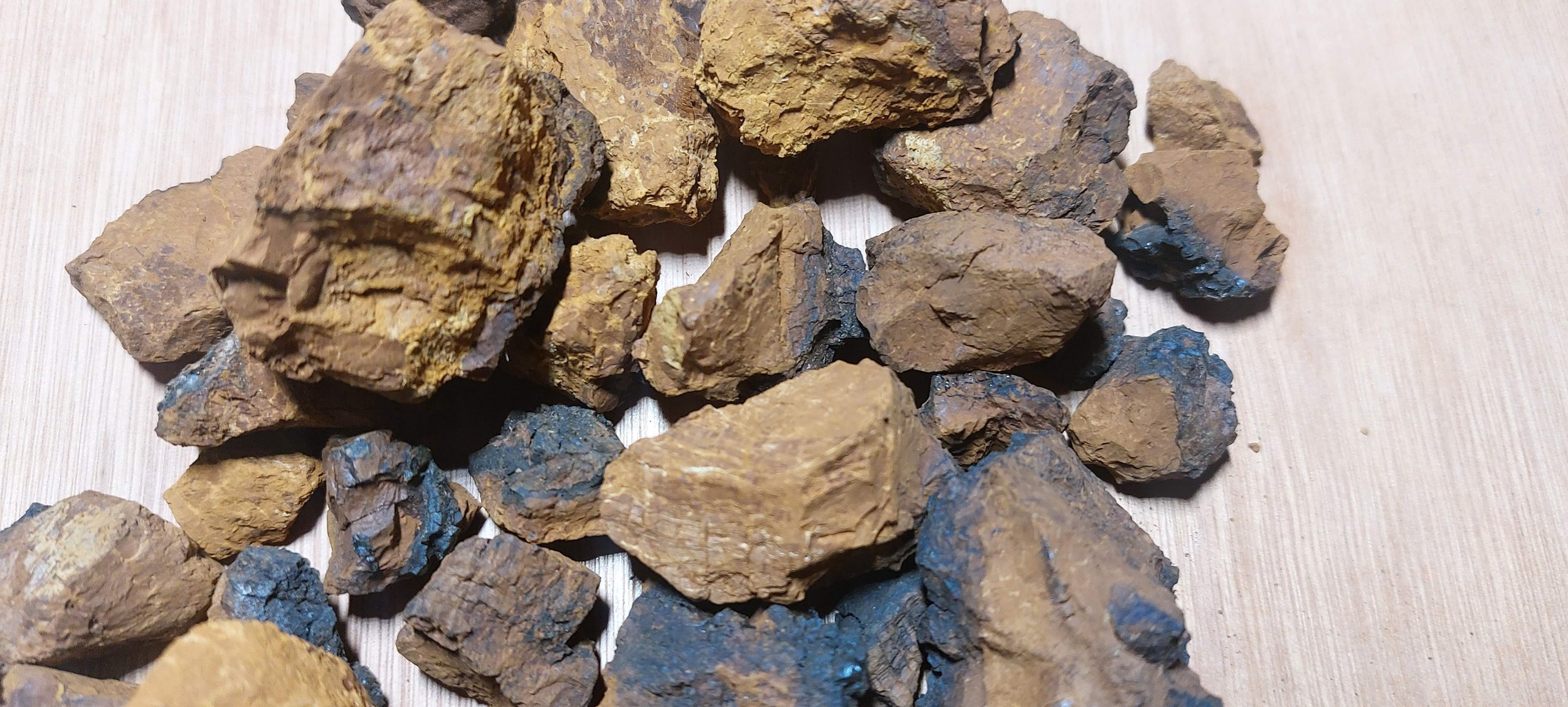 Chaga Dried.jpg