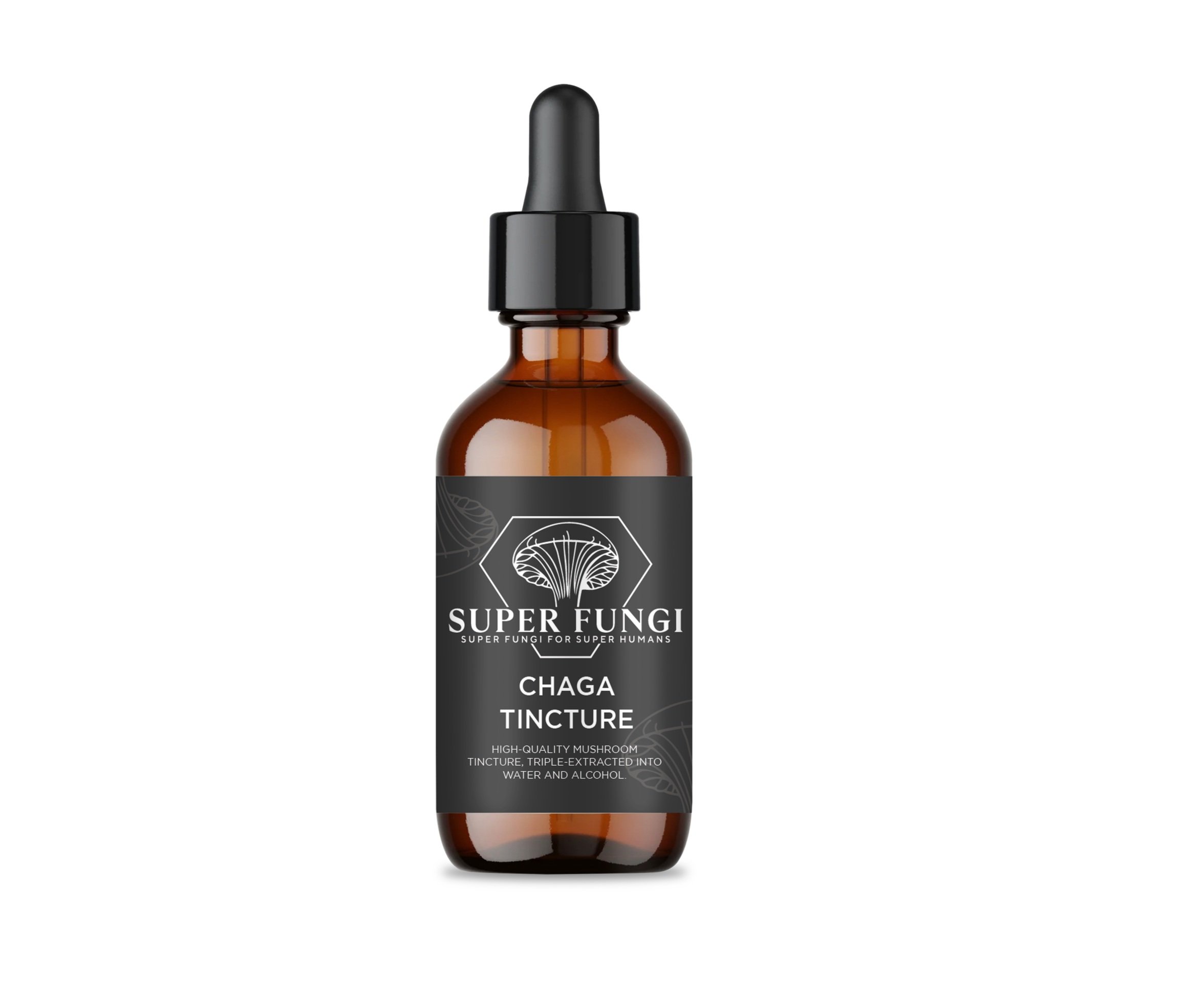 Chaga+Mockup+2.jpg