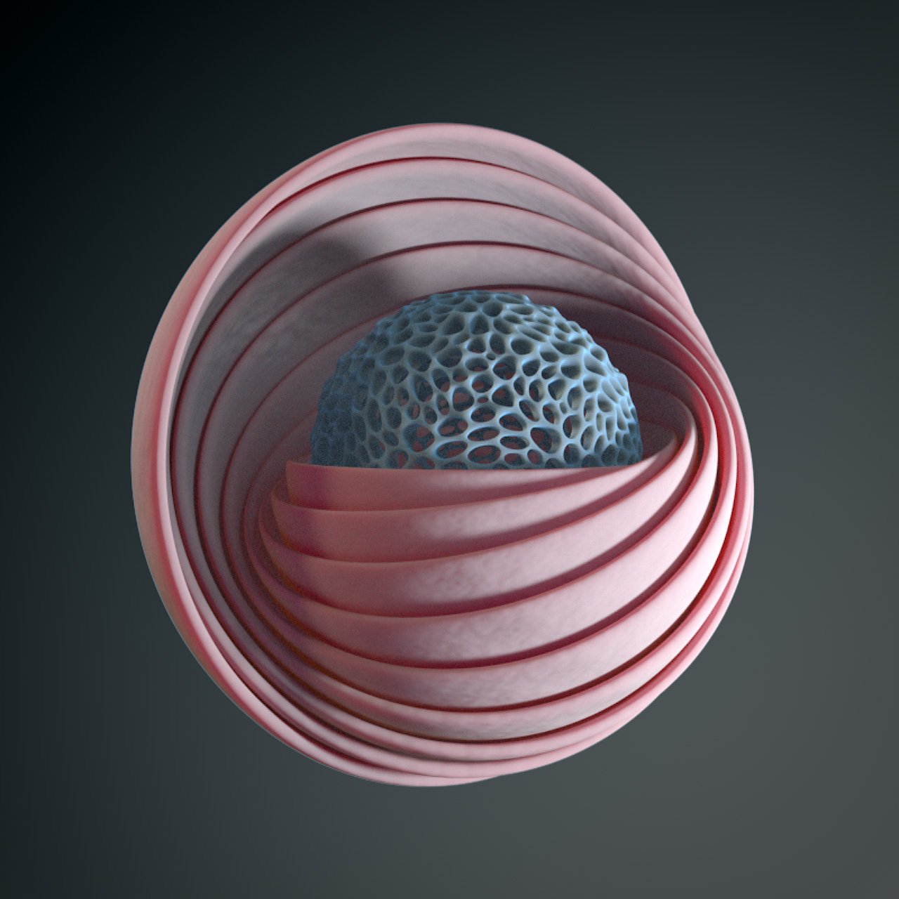 Fleshy_Ball.jpg