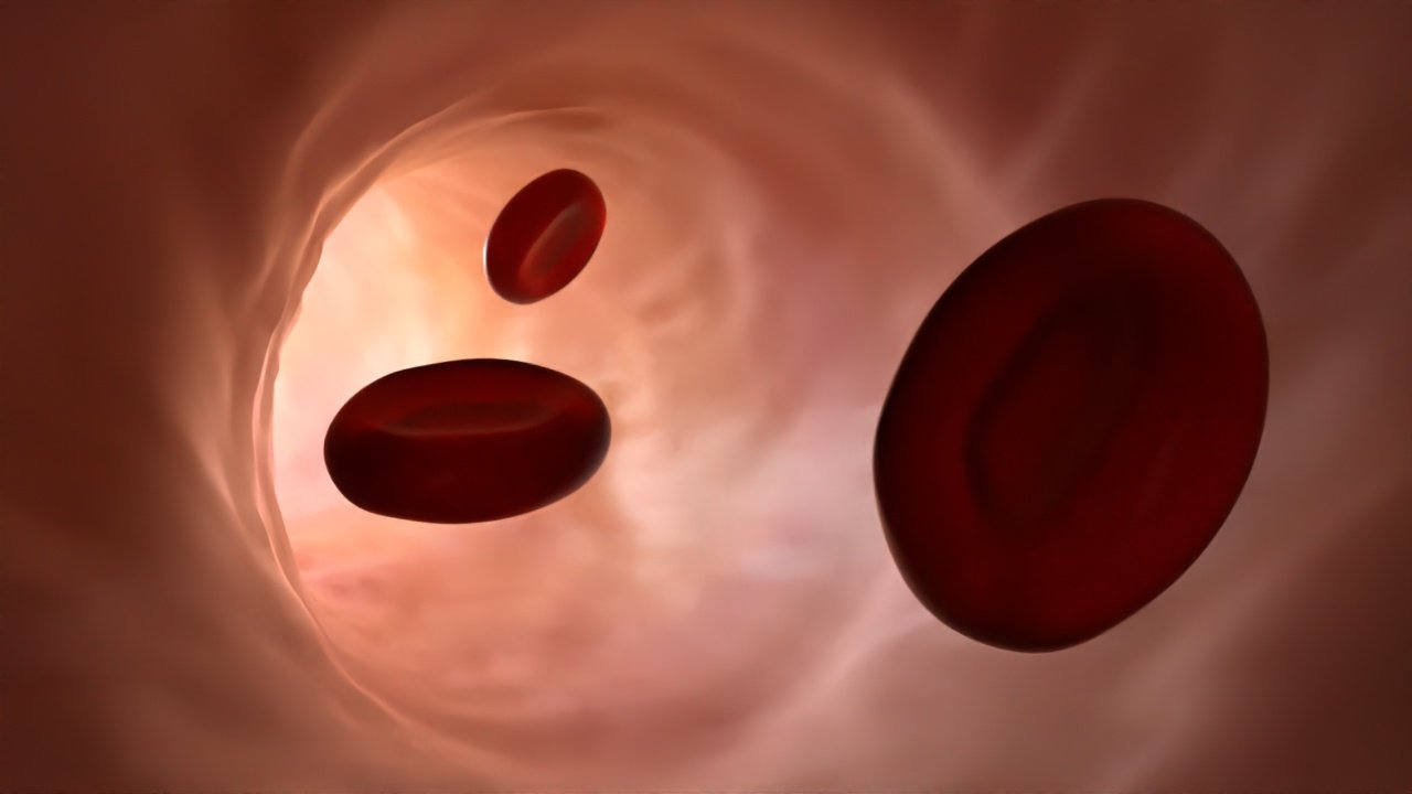Blood_Style_Frame_02_0018.jpg
