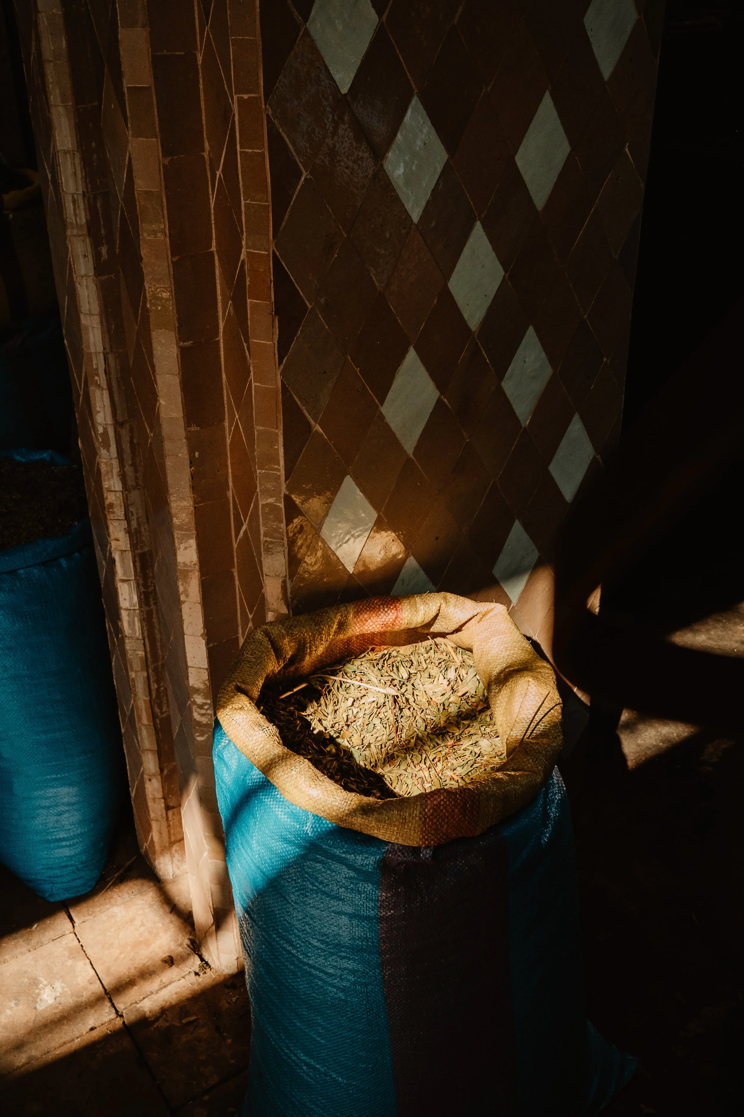 @bonmk1 - Connor Baker-4097.jpg