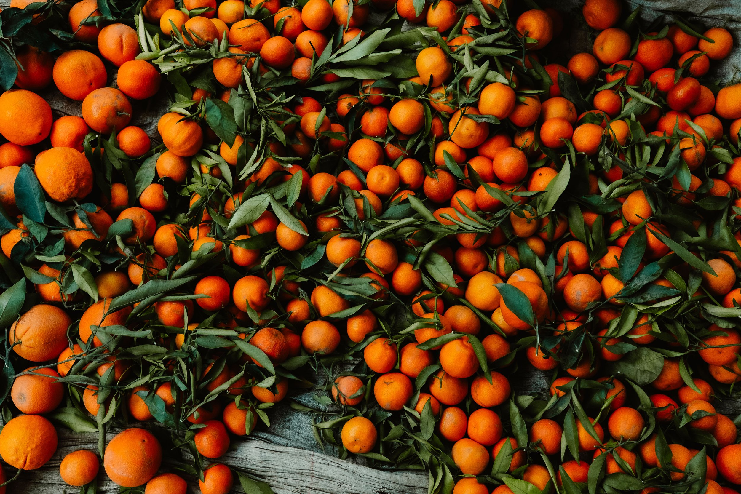 @bonmk1 - Connor Baker-8629.jpg