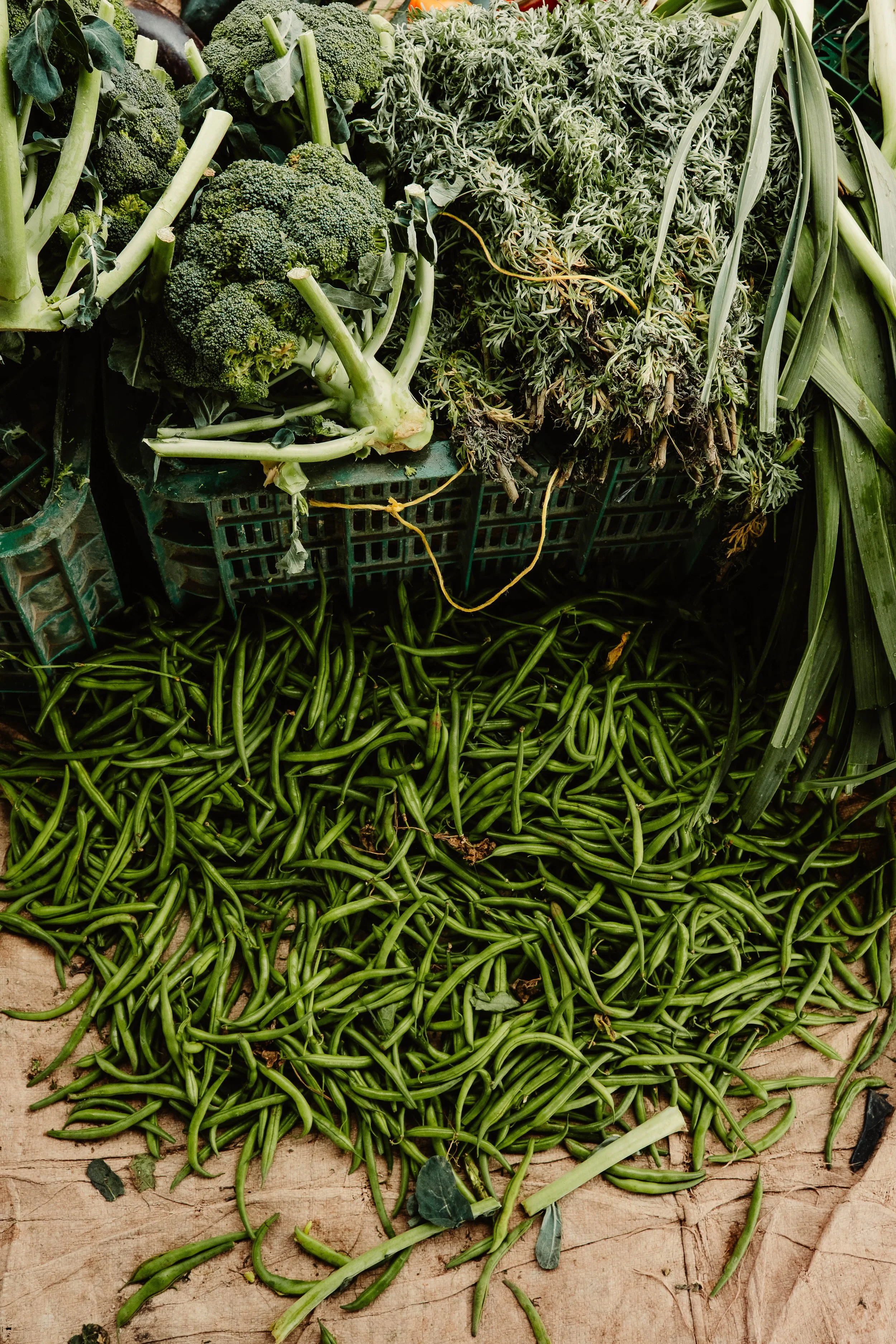 @bonmk1 - Connor Baker-0300.jpg