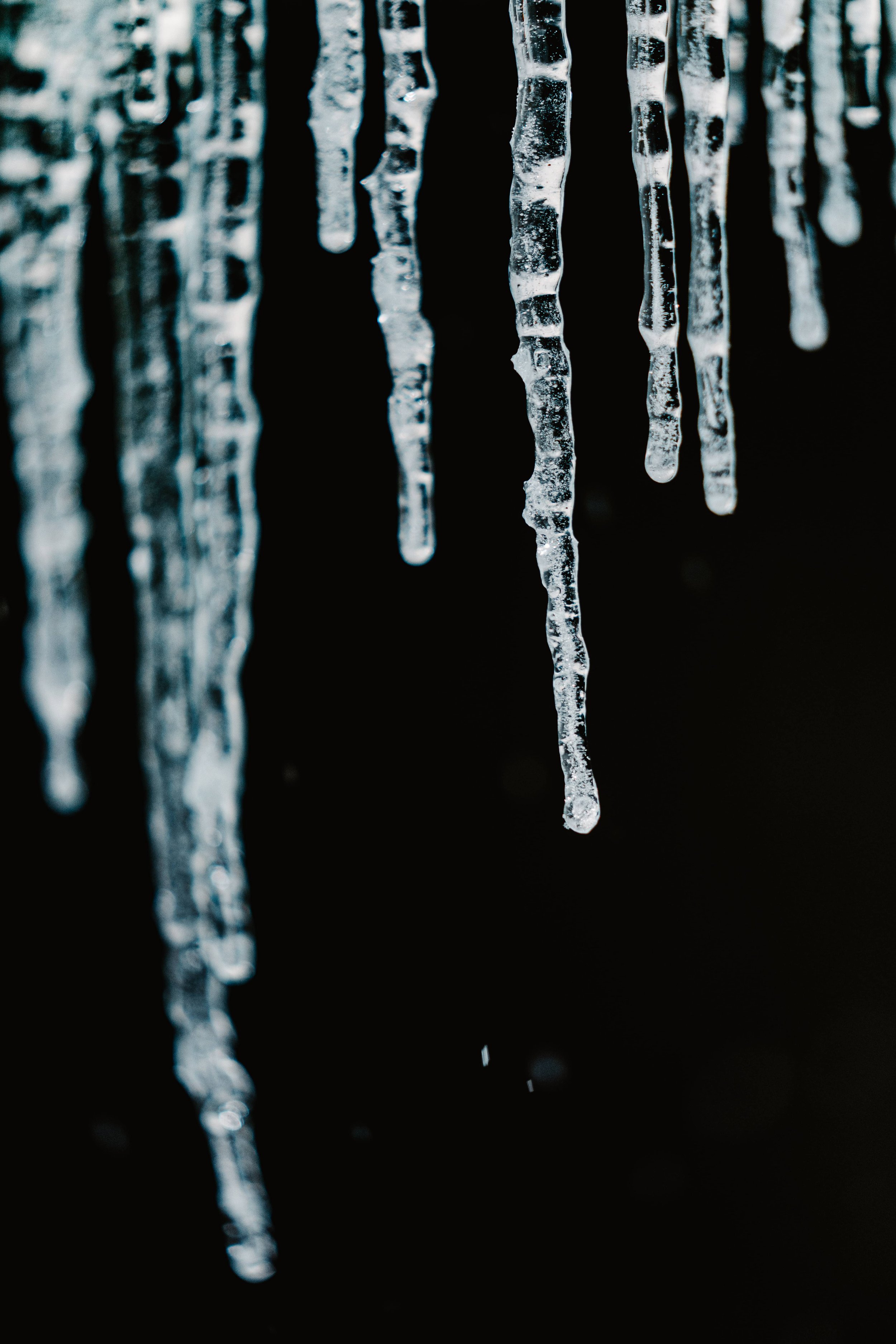 @bonmk1 - Connor Baker-08324.jpg