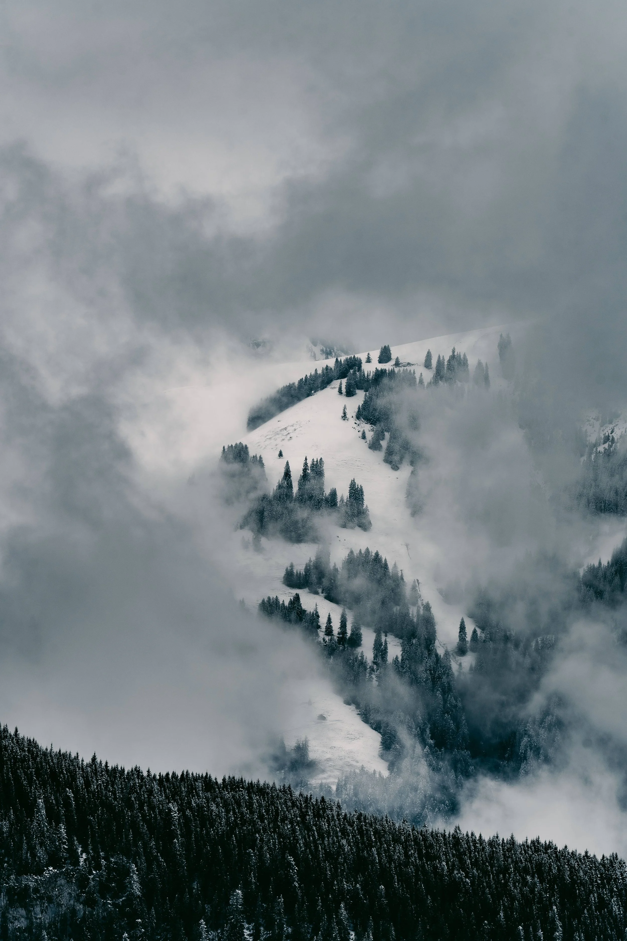 @bonmk1 - Connor Baker-.jpg