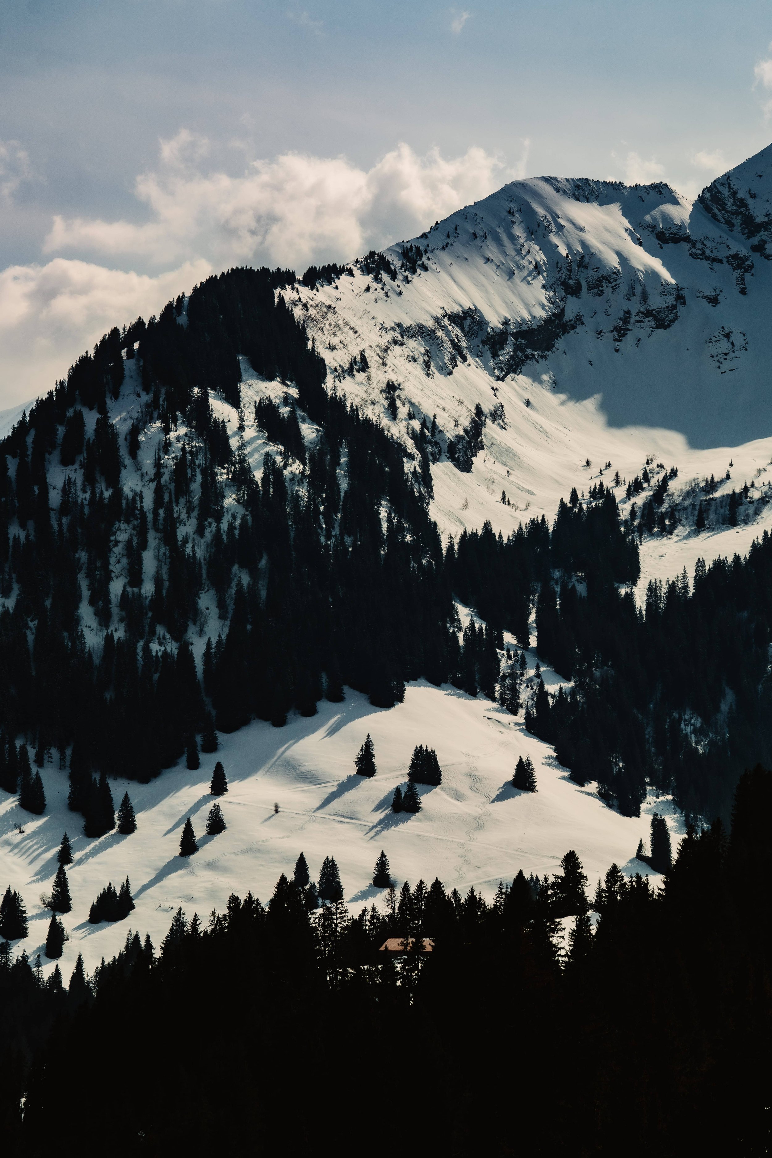 @bonmk1 - Connor Baker-06101.jpg