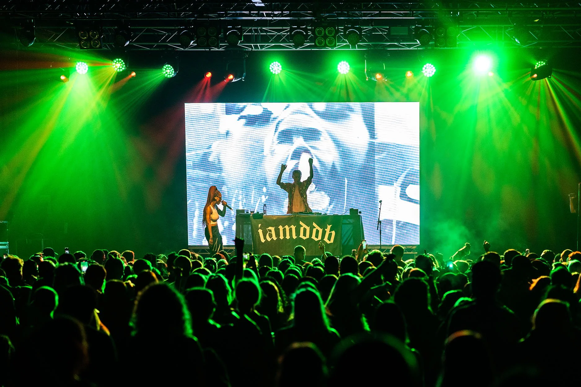 Iamddb crowd shot.jpg