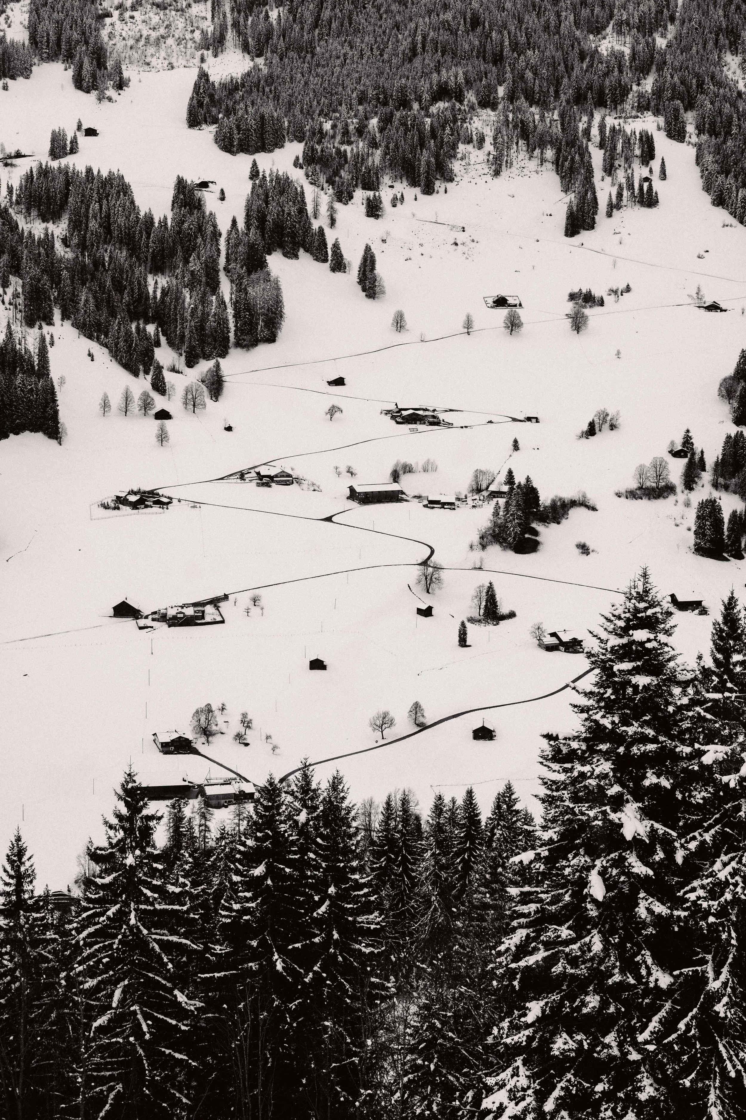 @bonmk1 - Connor Baker-02074.jpg