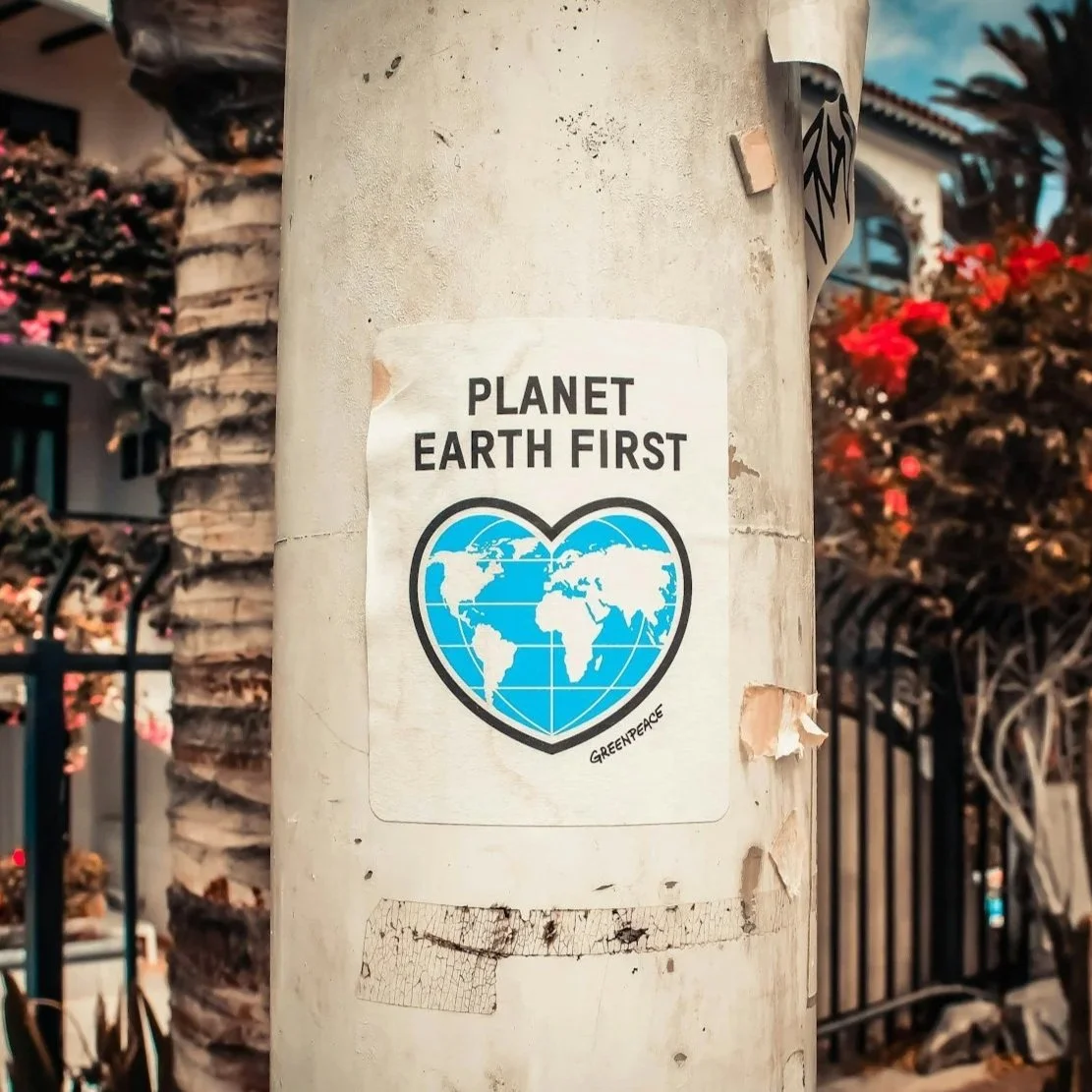 Sustainability as a marketing advantage