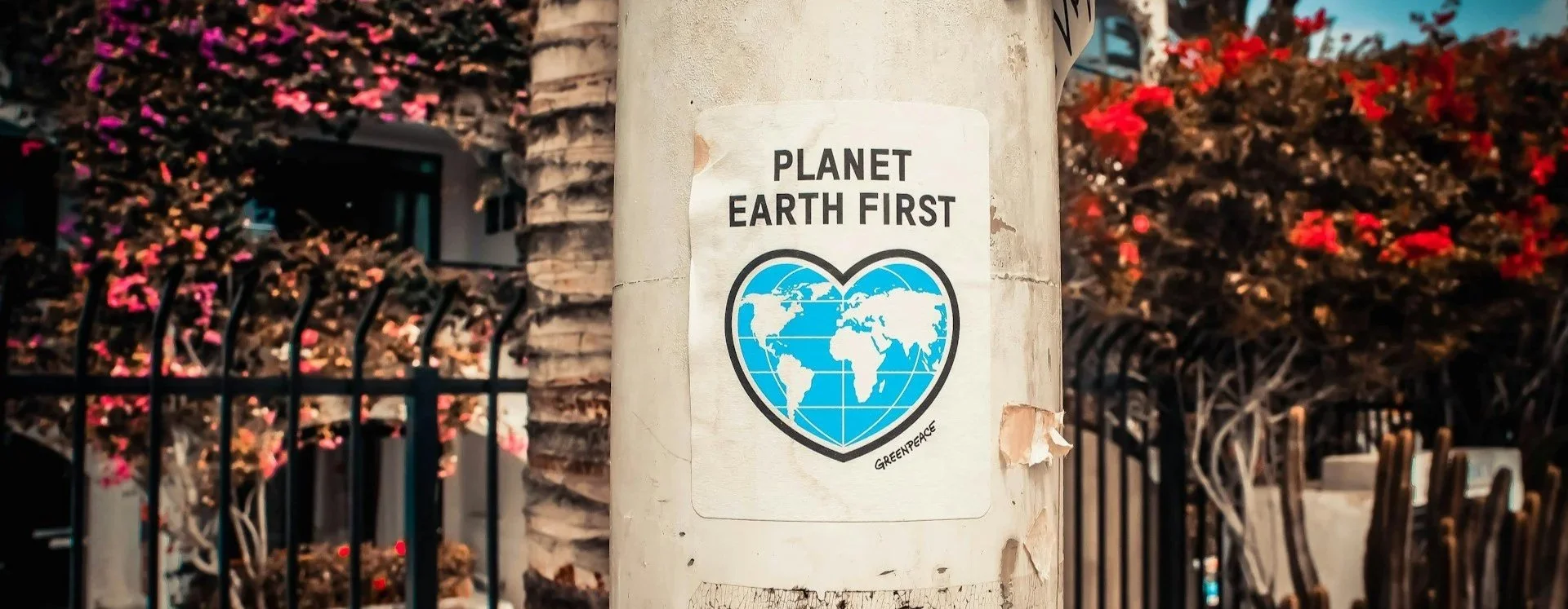 Poster on lamp post with text - Planet Earth First