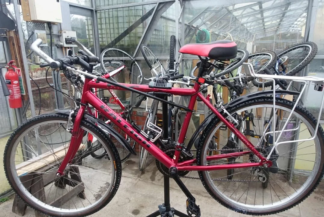 A red mountain bike with a white rear rack inside a greenhouse, surrounded by other bicycles.