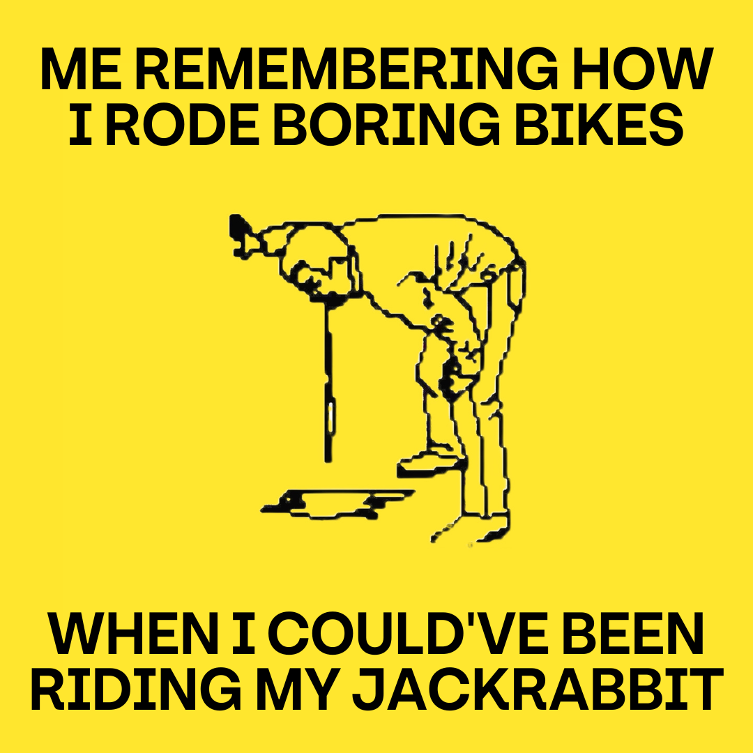 Organic social design for JackRabbit