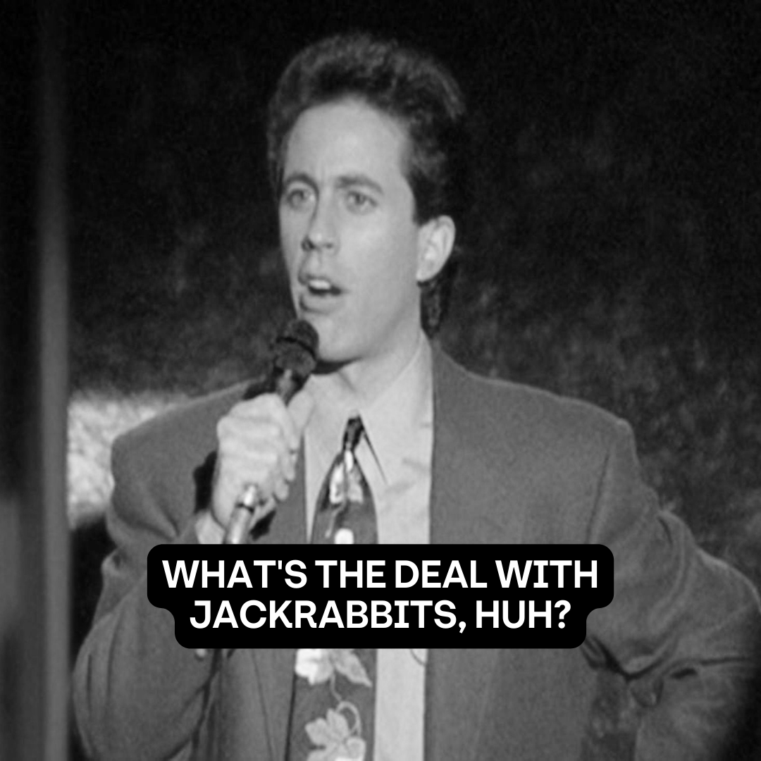 Organic social design for JackRabbit