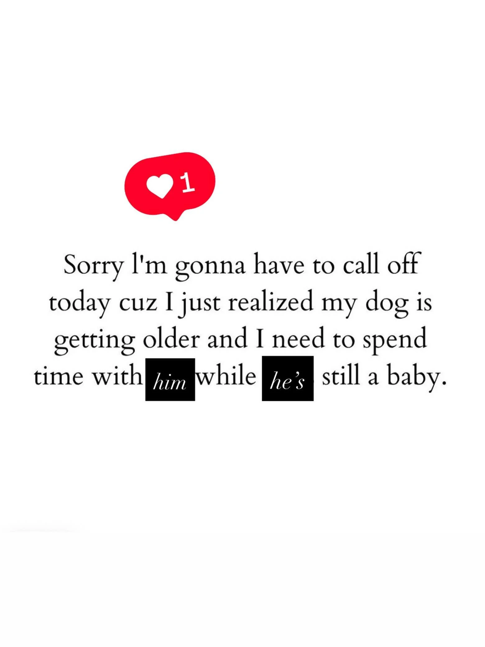 💓My kind of people understand💓
I 🫂can&rsquo;t believe it&rsquo;s been a week and
a day since my angel 🐕&zwj;🦺crossed 🌈💔

I have one doodle left on 🌍, he will always 
come first. The client base that I have curated over the years is an absolut