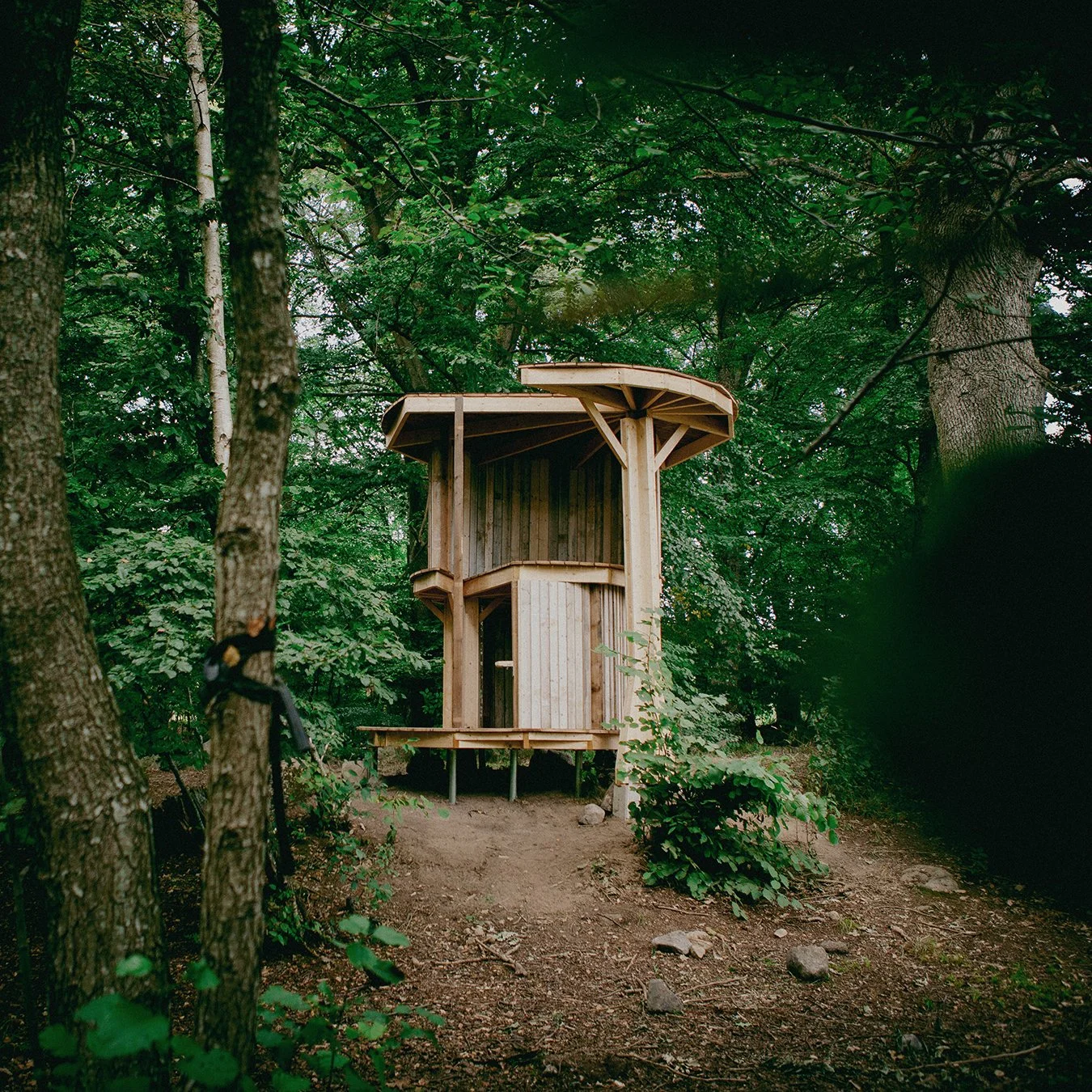 huvudbild kvadrat.jpg