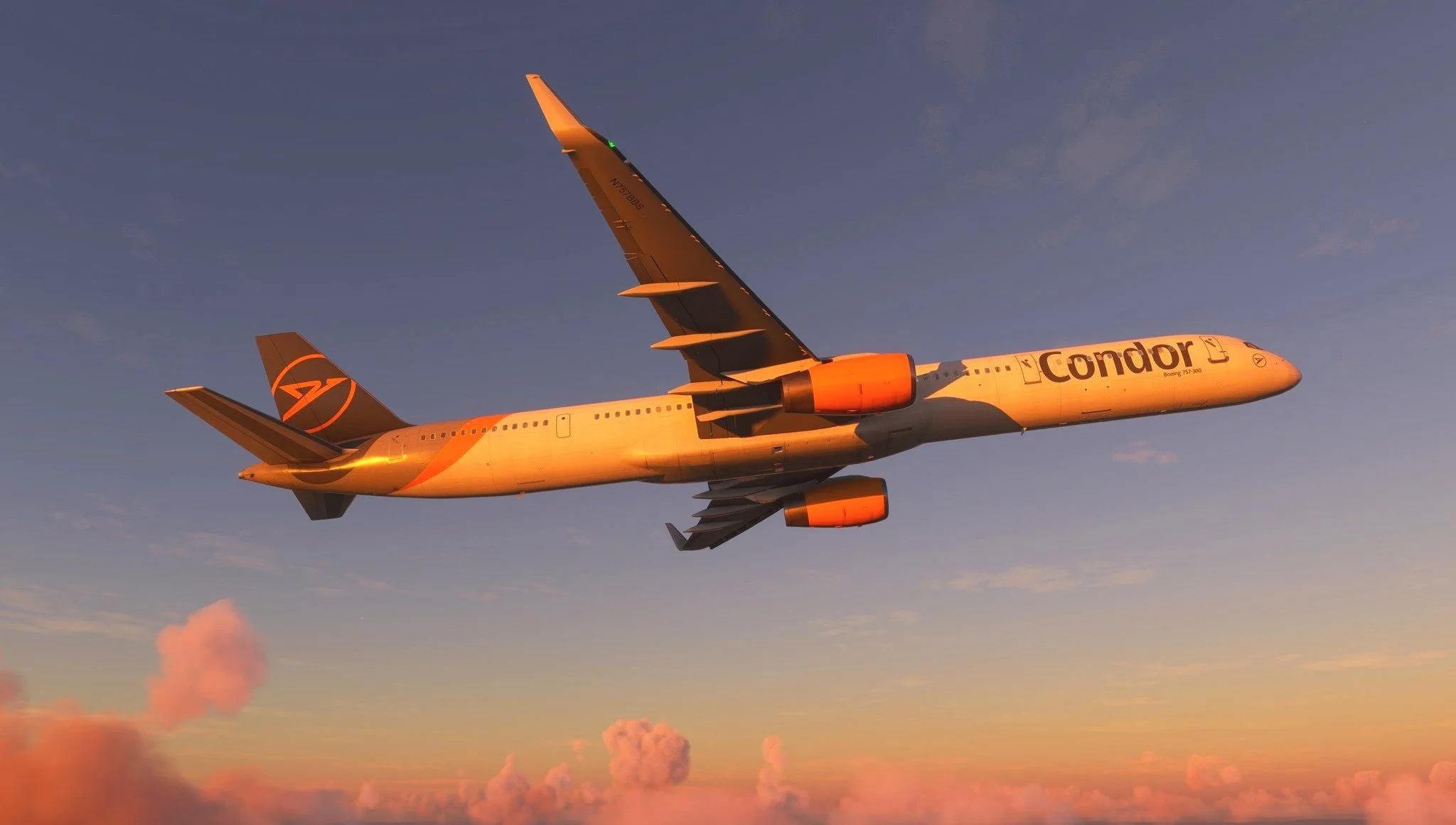 Bluebird 757-300 - Detalhes técnicos