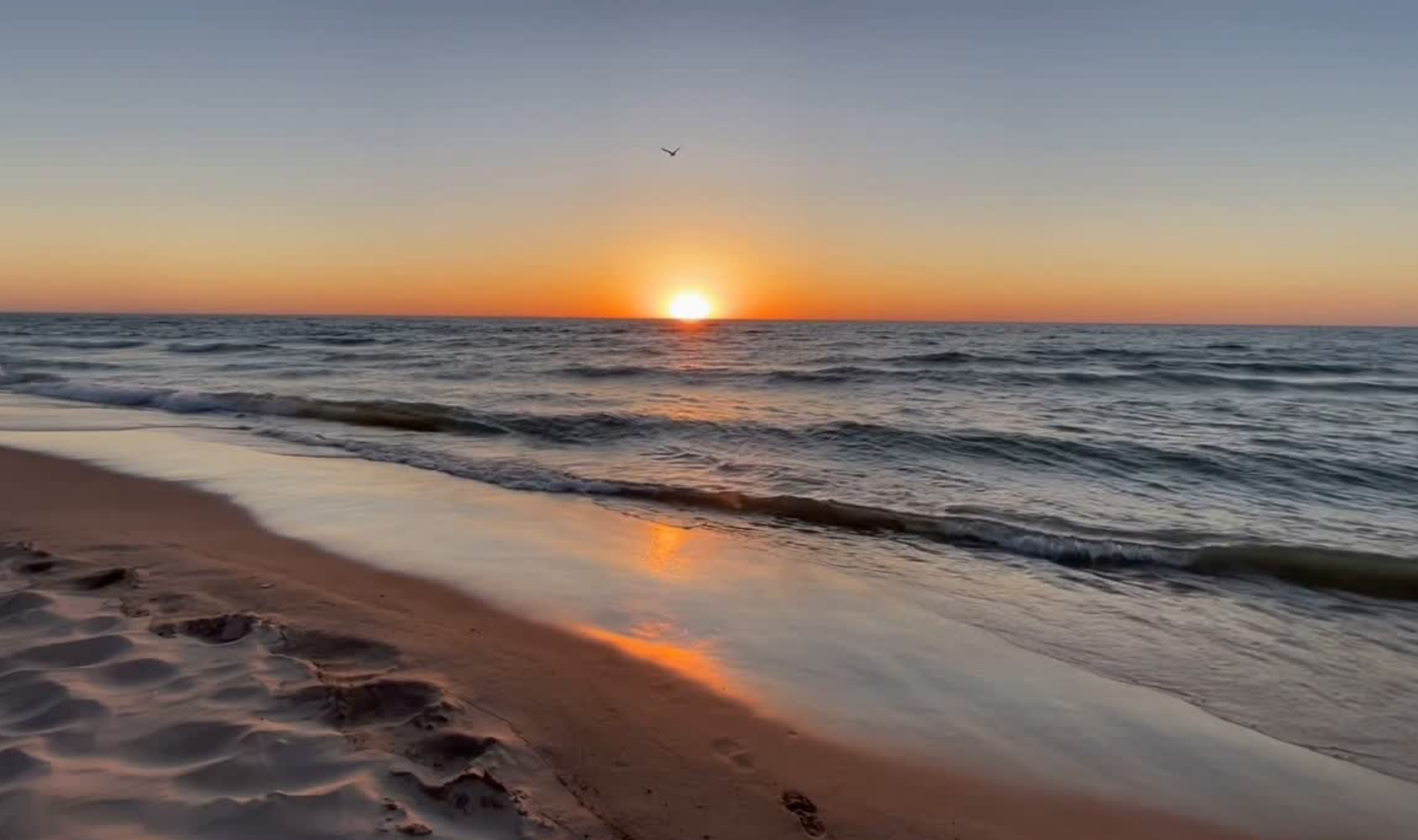 NEW Website banner (2).png