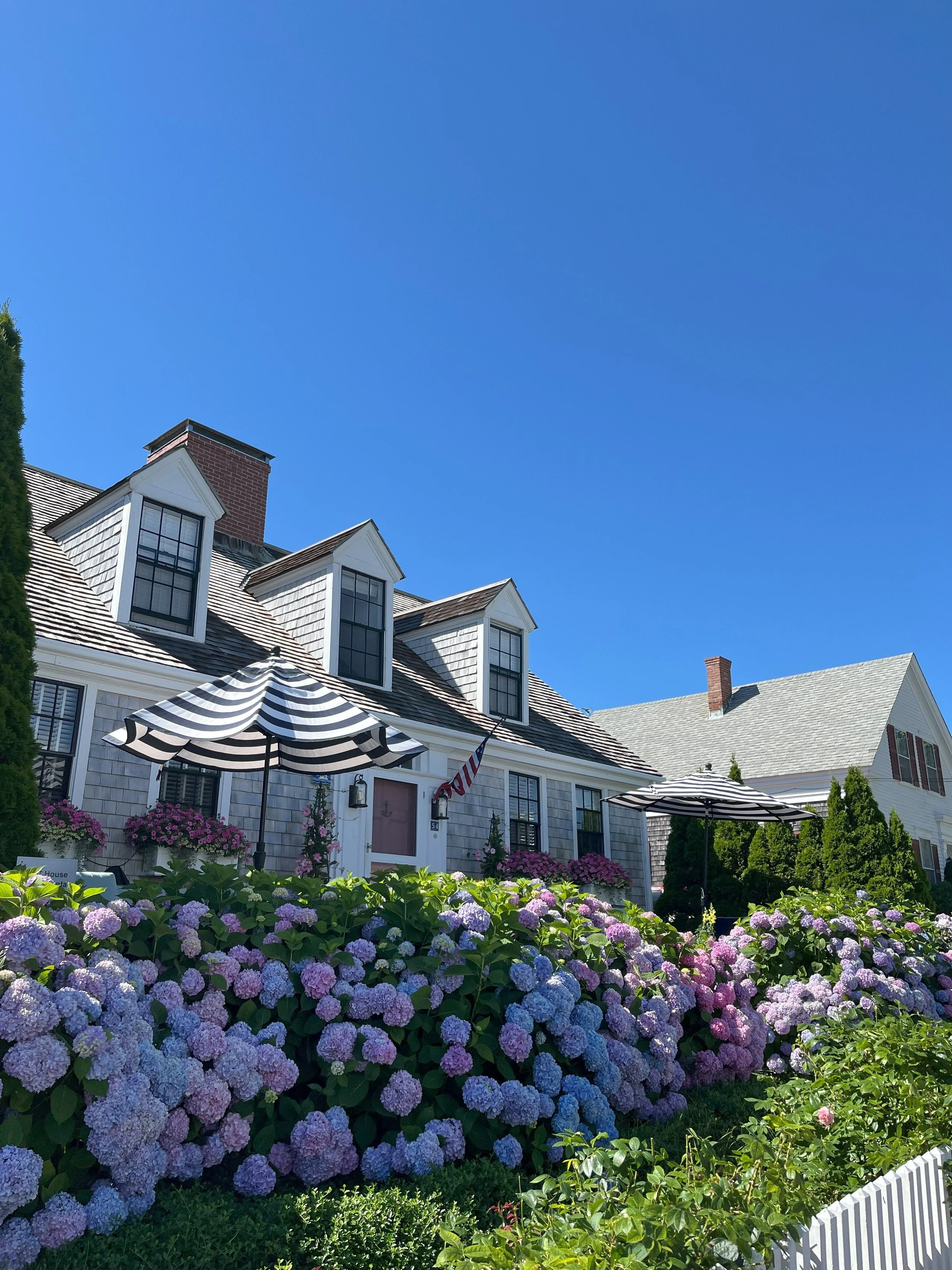 Classic New England Hydrangea Garden Ideas