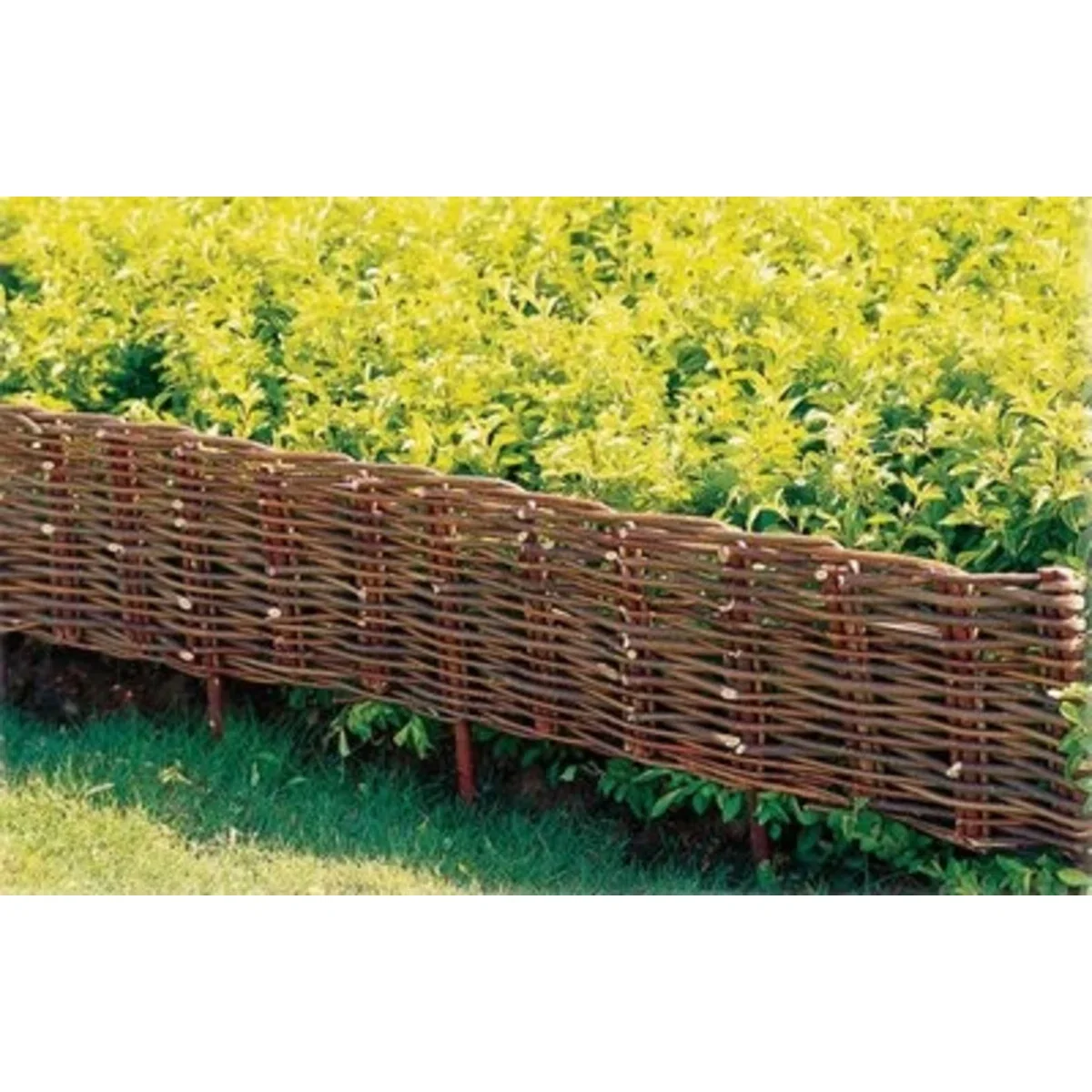 16''+H+x+72''+W+Brown+Wood.jpg.webp