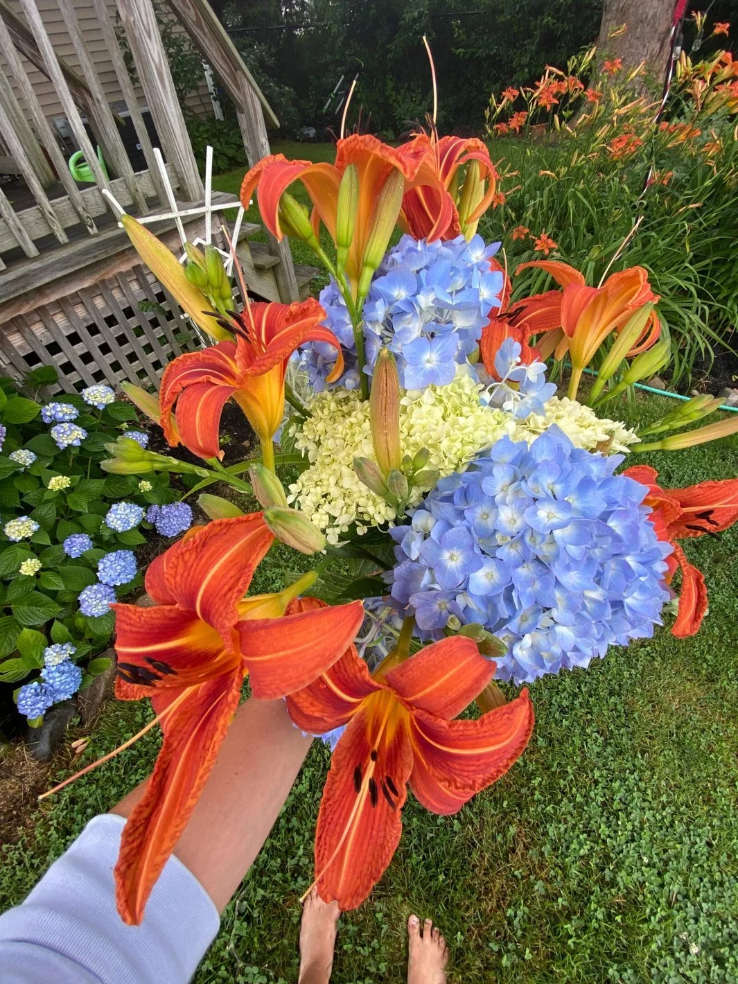 What to Plant with Hydrangeas: Classic Coastal Garden Pairings