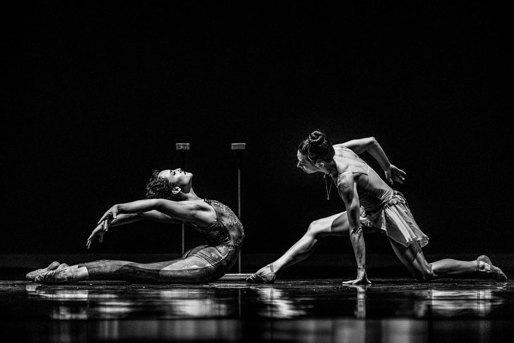 Hybrid Movement Co.jpeg