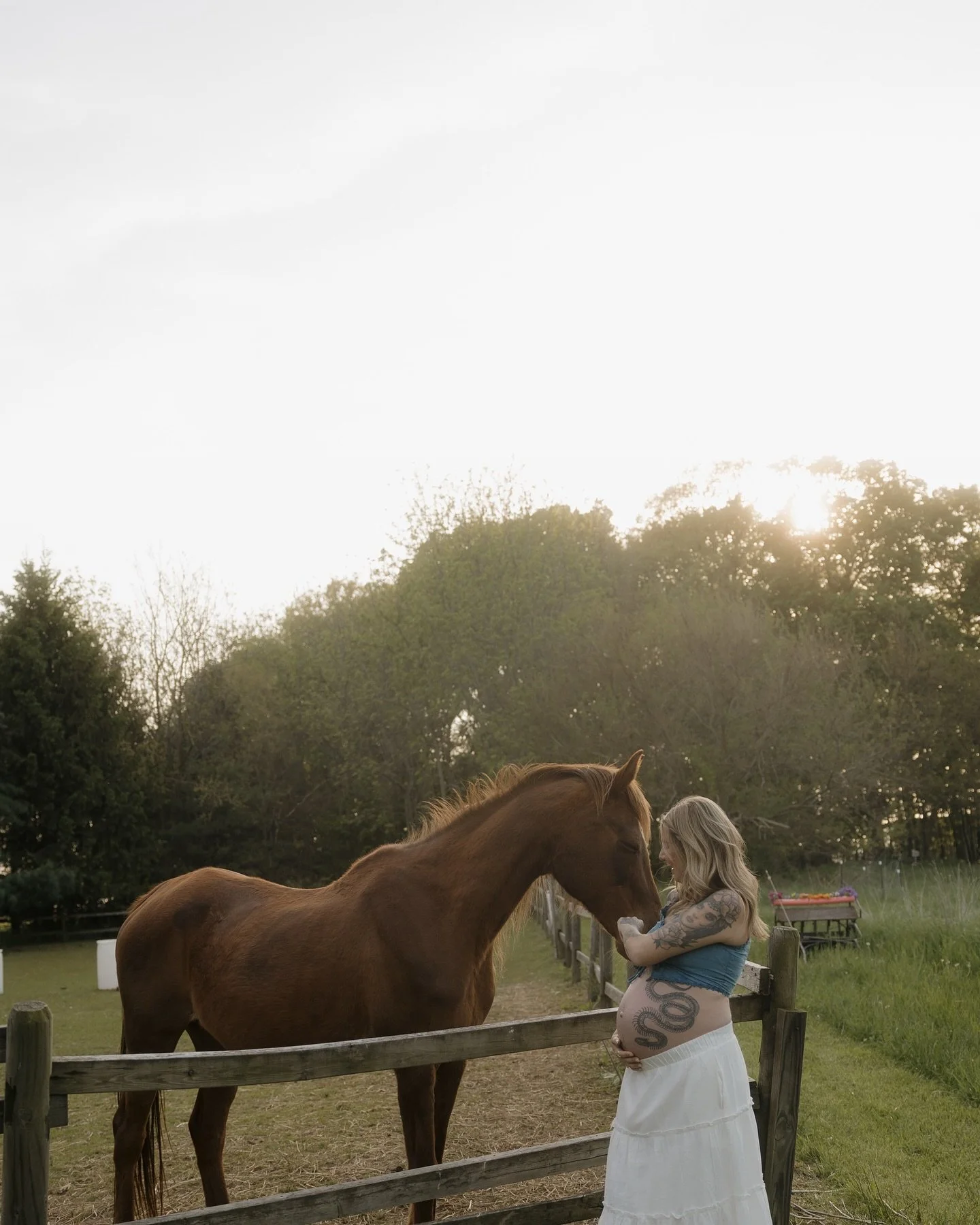 The dreamiest maternity photos ✨🤍 
. 
. 
.
.
Host/model:@c.mullinsphotography 
Host: @madisonbertsch.photography 
Venue: @farmtofolklore