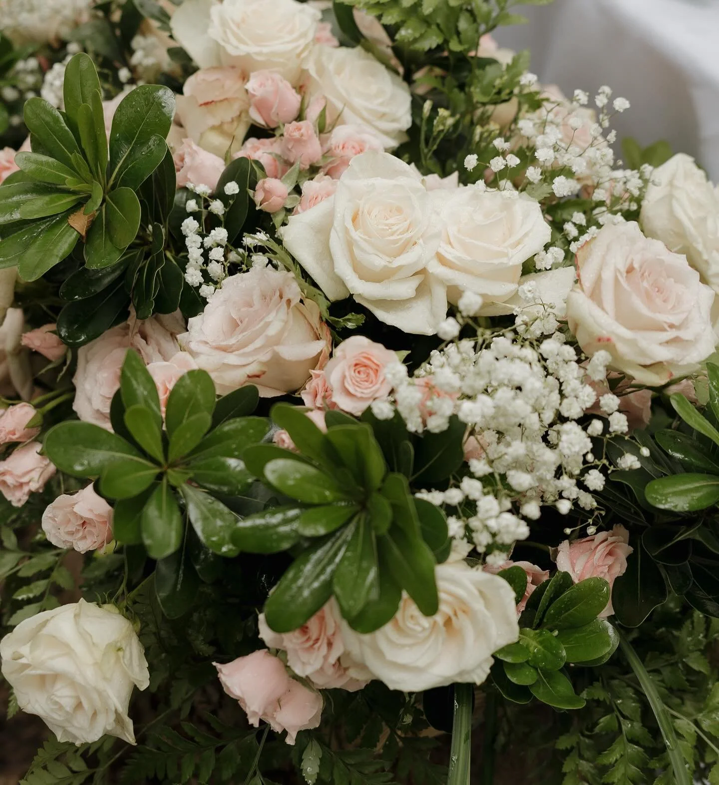 Some gorgeous florals ✨