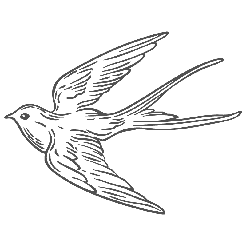 Outline of a flying bird with long tail feathers, depicted in black and gray lines on a black background.