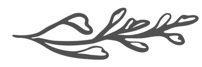 A simple black and white illustration of a leafy branch.