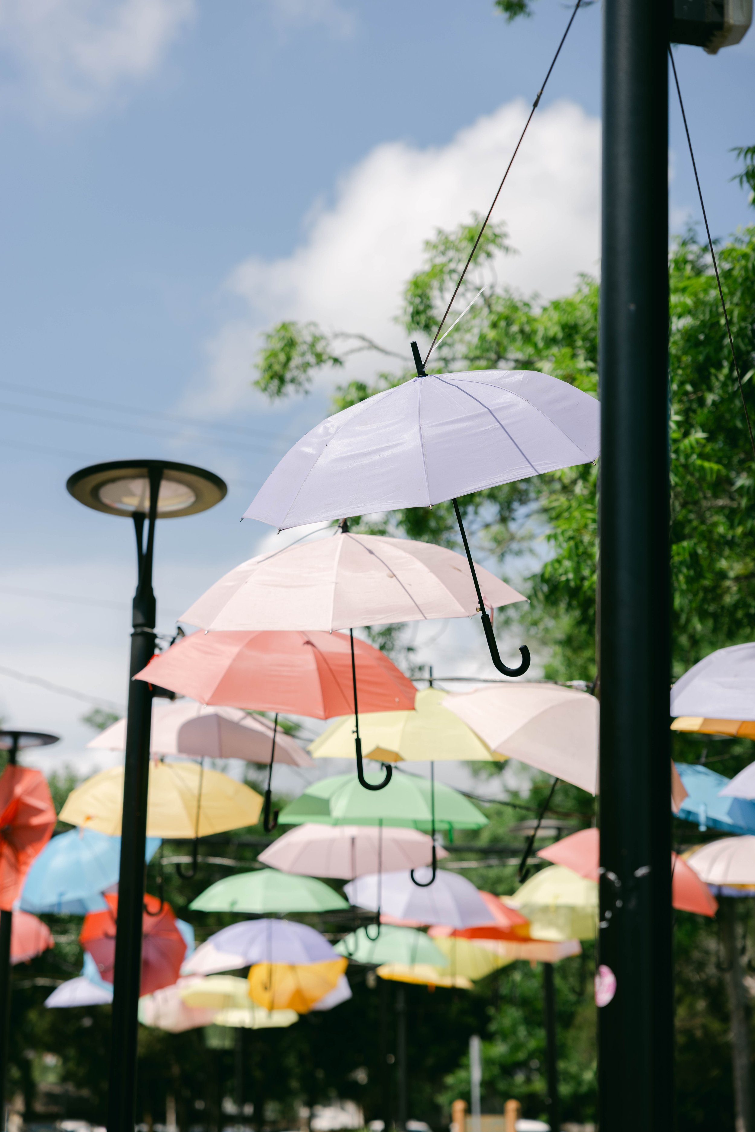 Colorful umbrellas hanging above a street lamp on Government Street
