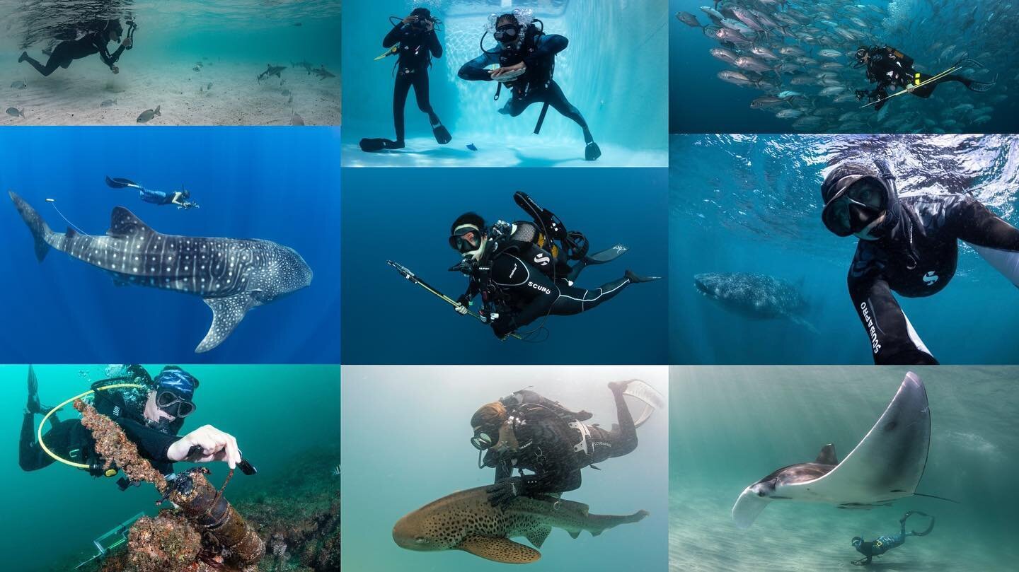 I considered today just how many fin kicks it has taken me to get this far in my diving career as a marine researcher with the @marinemegafauna Foundation. How many hours I may have spent underwater. One thing is for sure, it has not been easy to nav