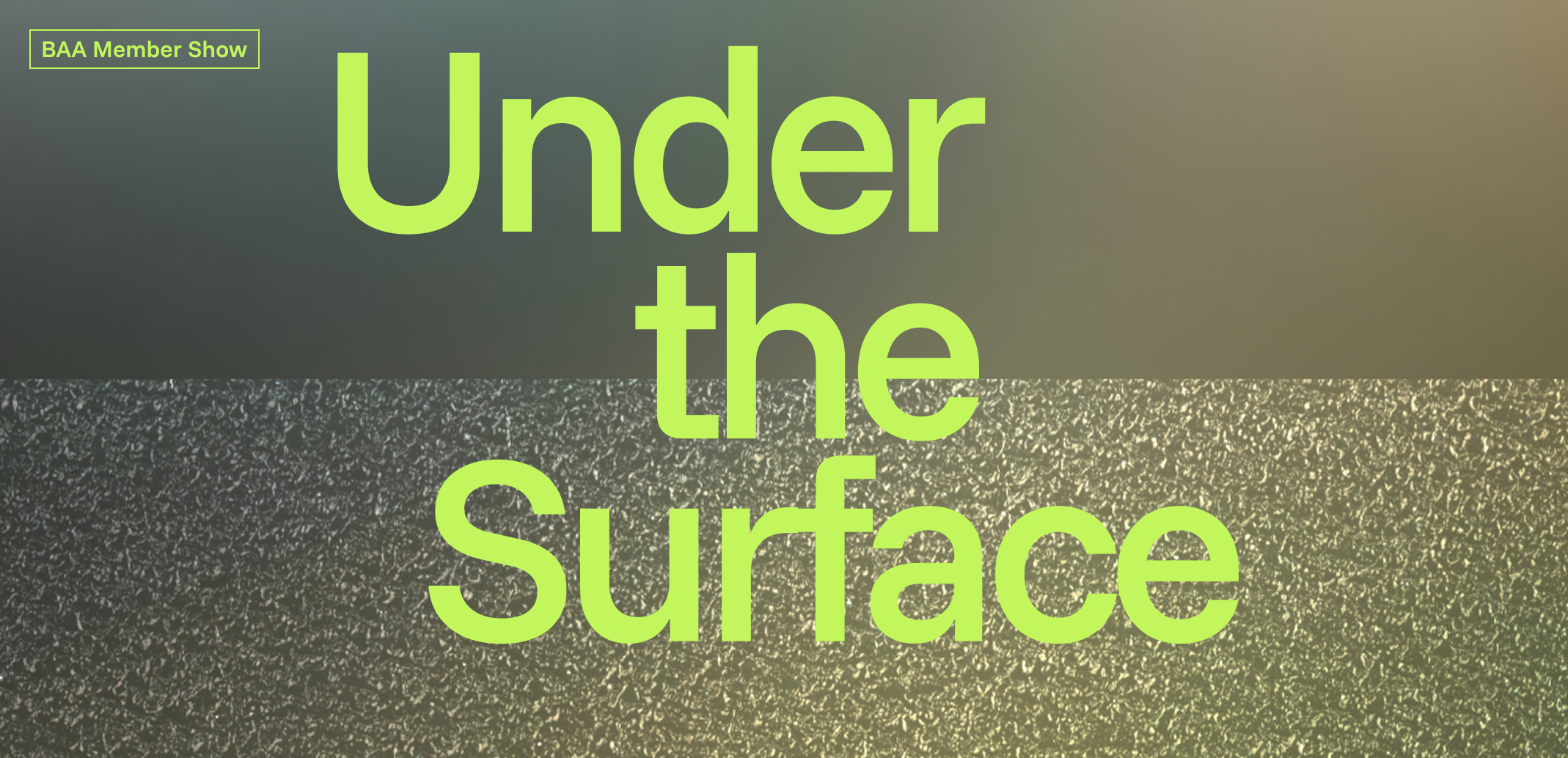 Opening Reception - BAA Member Show: Under the Surface