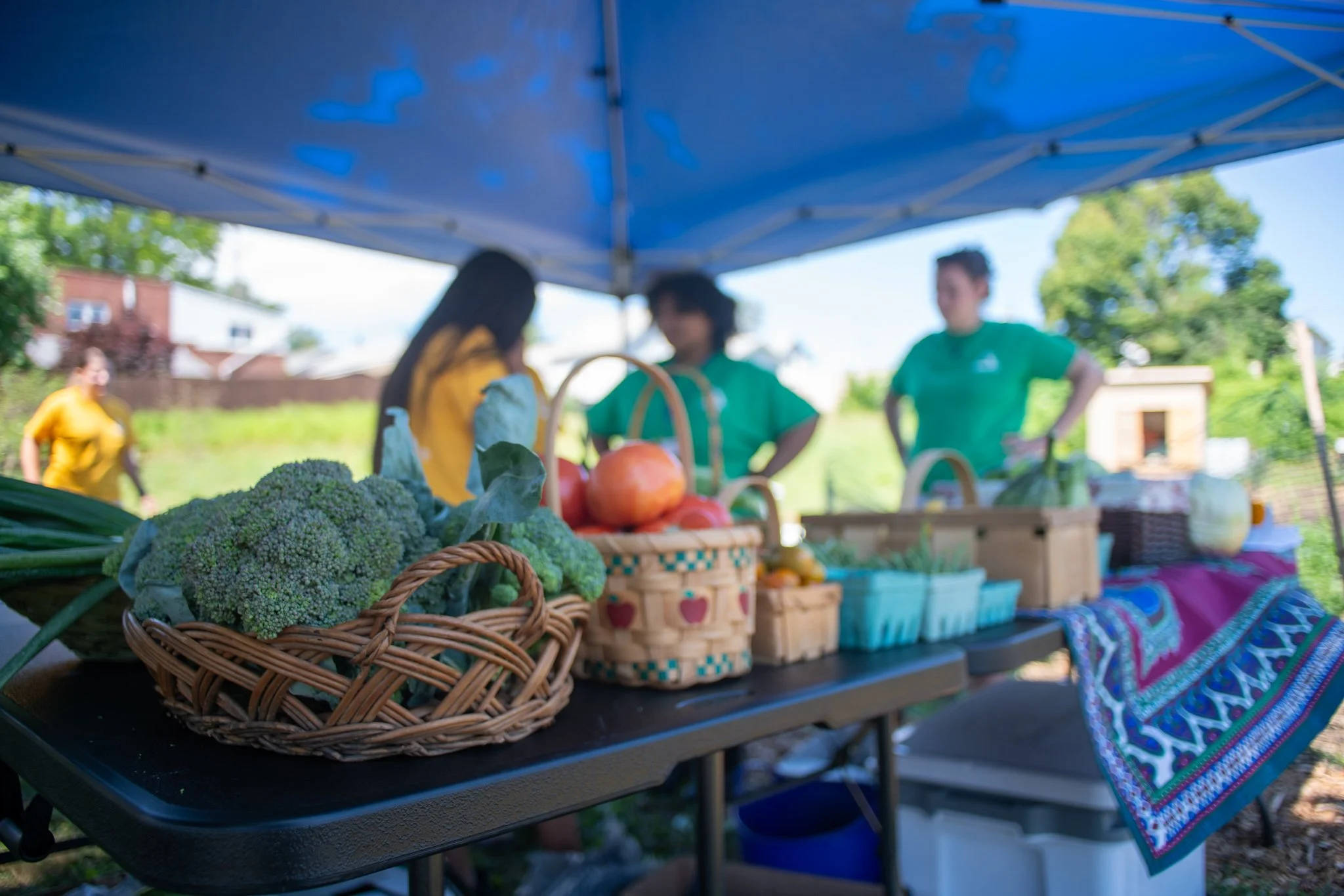 Groundwork Pay What You Can Farm Stand