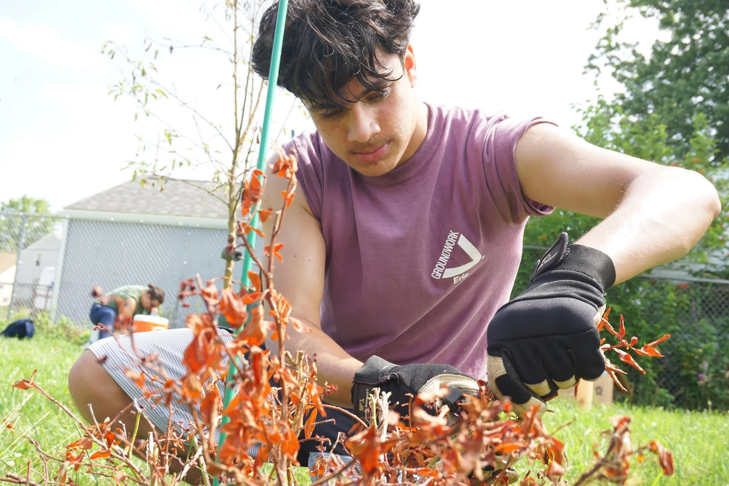 pruning.jpg