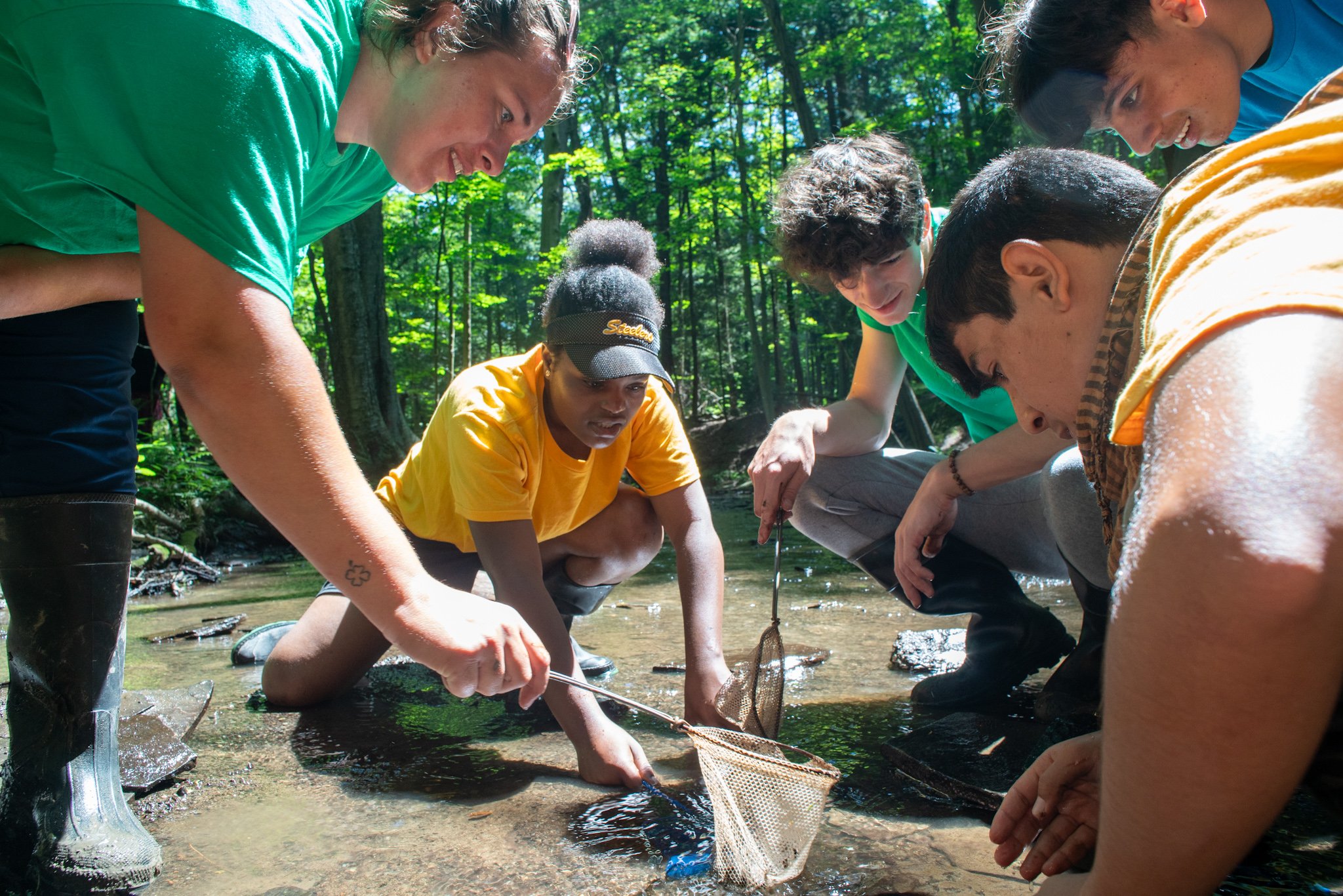 Climate Preparedness — Groundwork Erie
