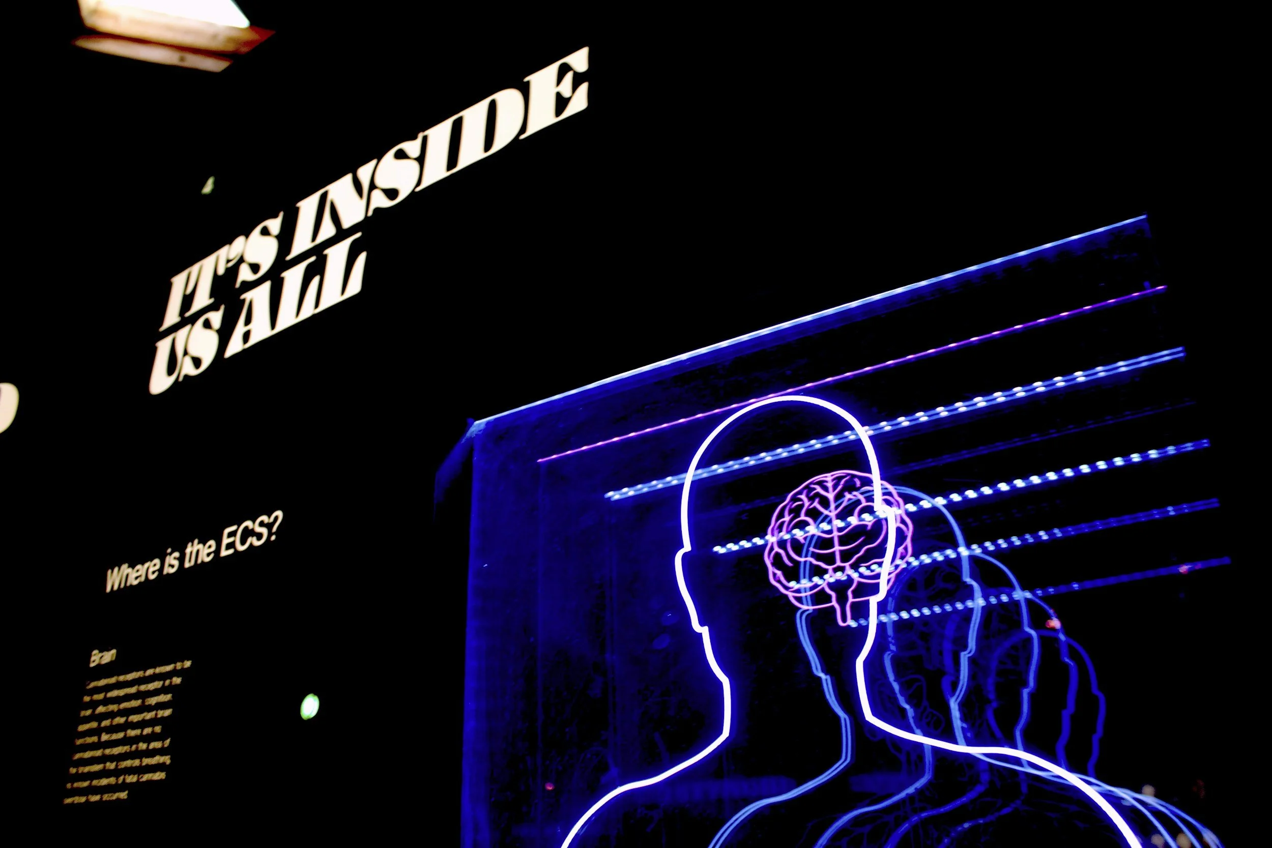 Navigating A Career in BCI : A Precision Neuroscience and NeuroNYC Event | September 10