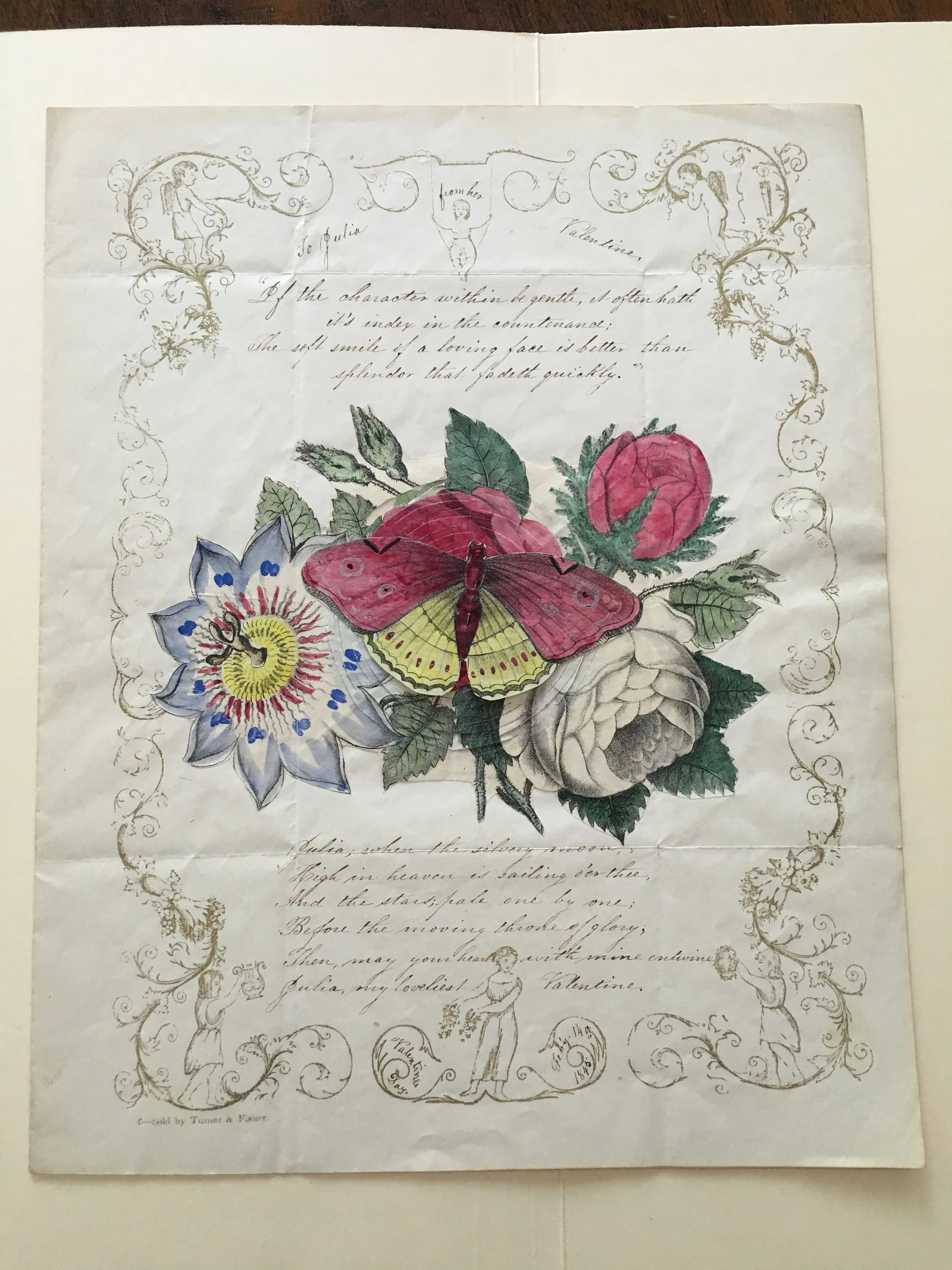 12.Turner and Fisher cobweb.jpeg