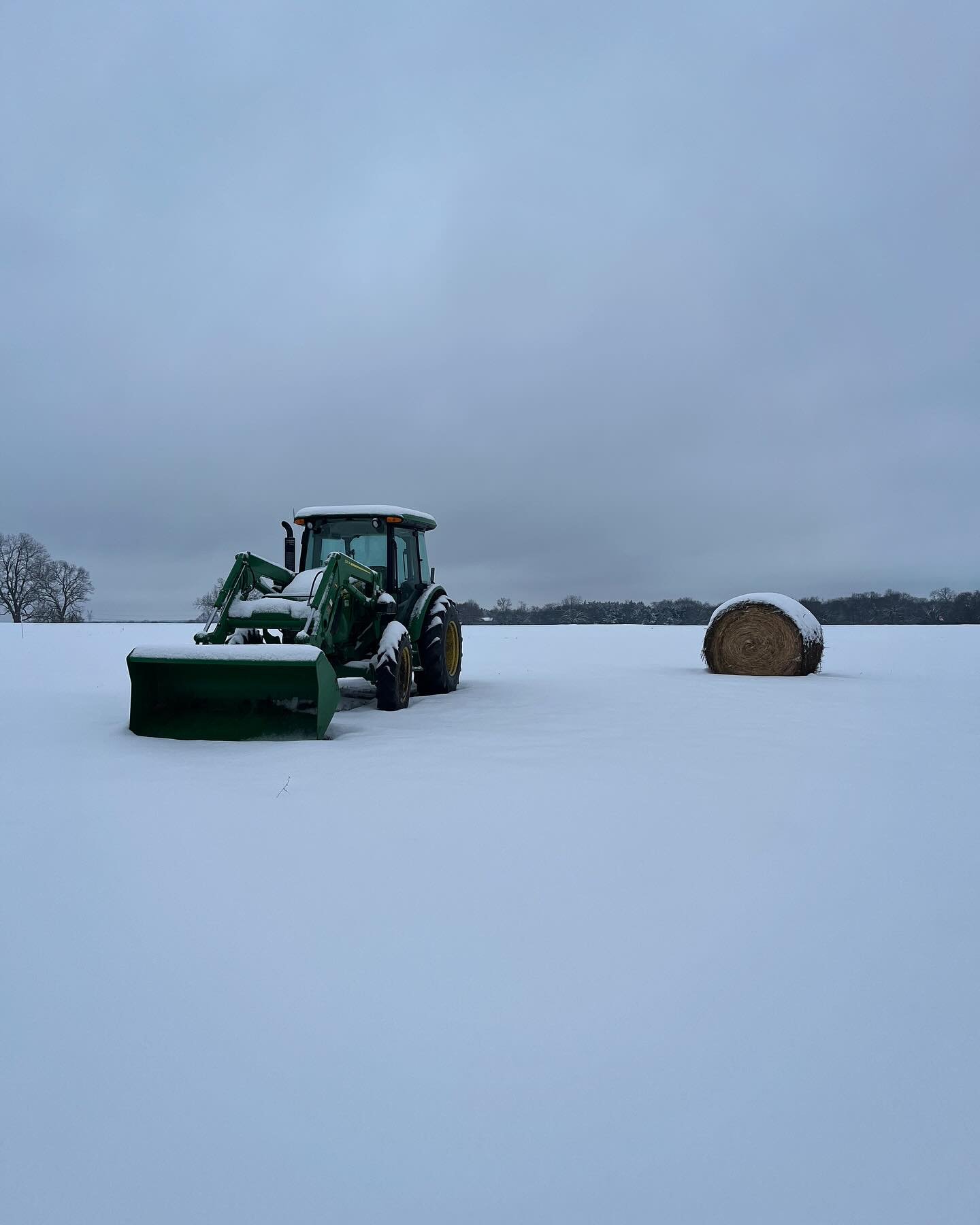 There is nothing as quiet and peaceful as a farm right after it snows