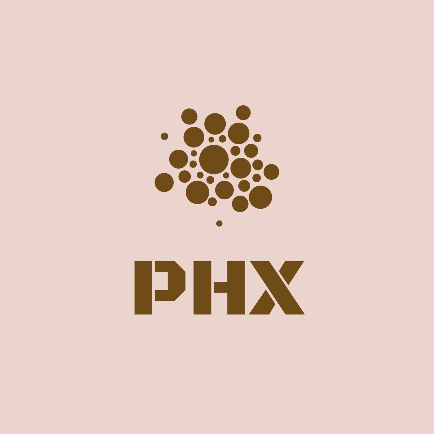 PHX Consulting
