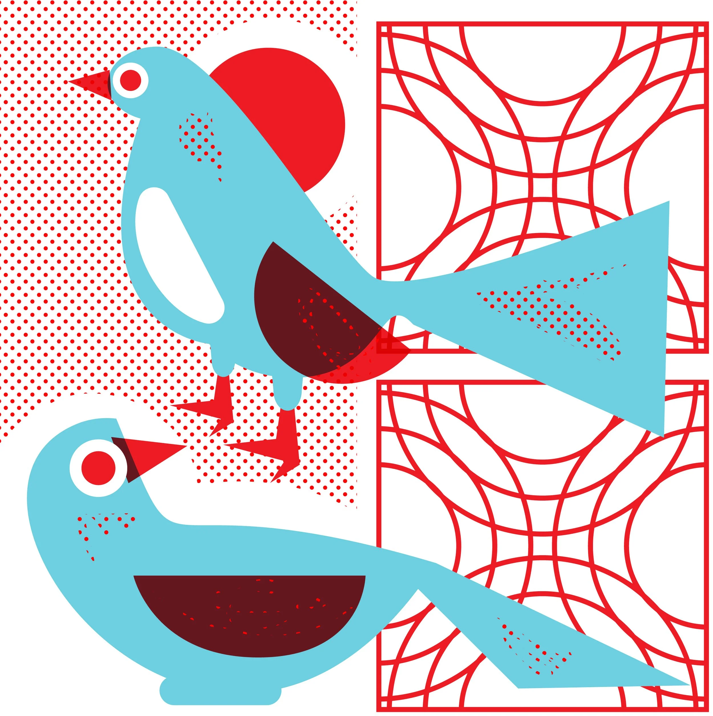 pigeons of vietnam jane sanders.jpg