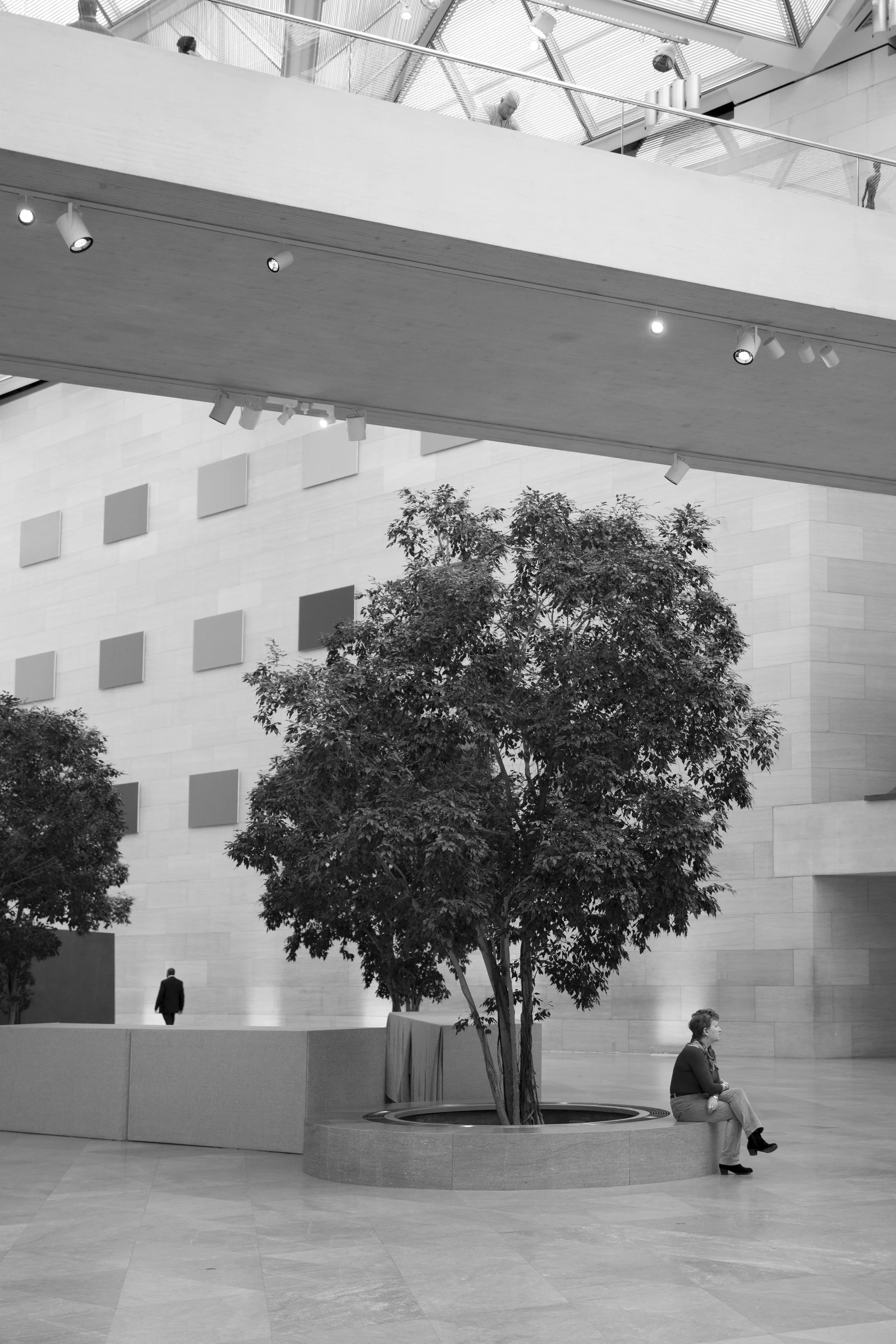 Inside the art museum, architecture photo with bridges, tree and sitting vistor in silhouette