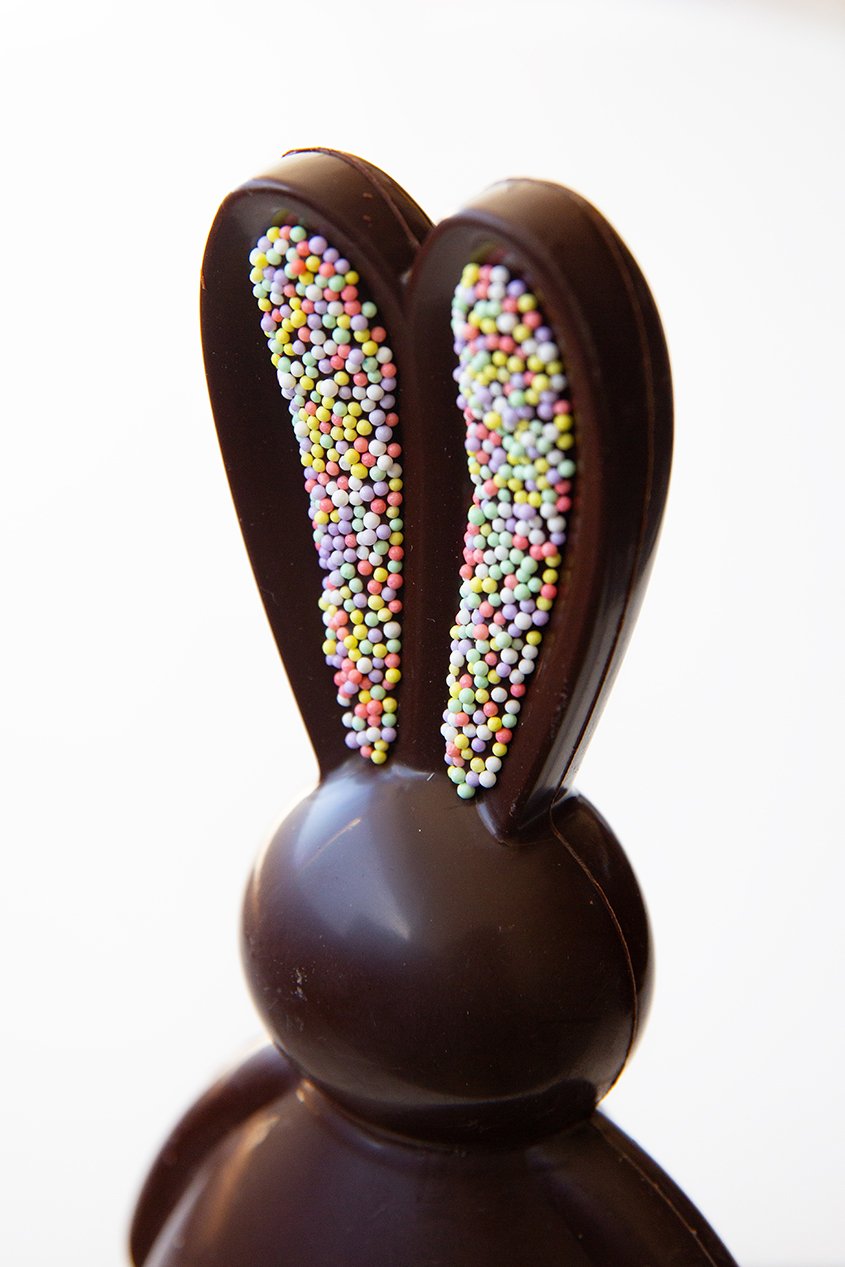 Chocolate bunny, dark chocolate Easter confection