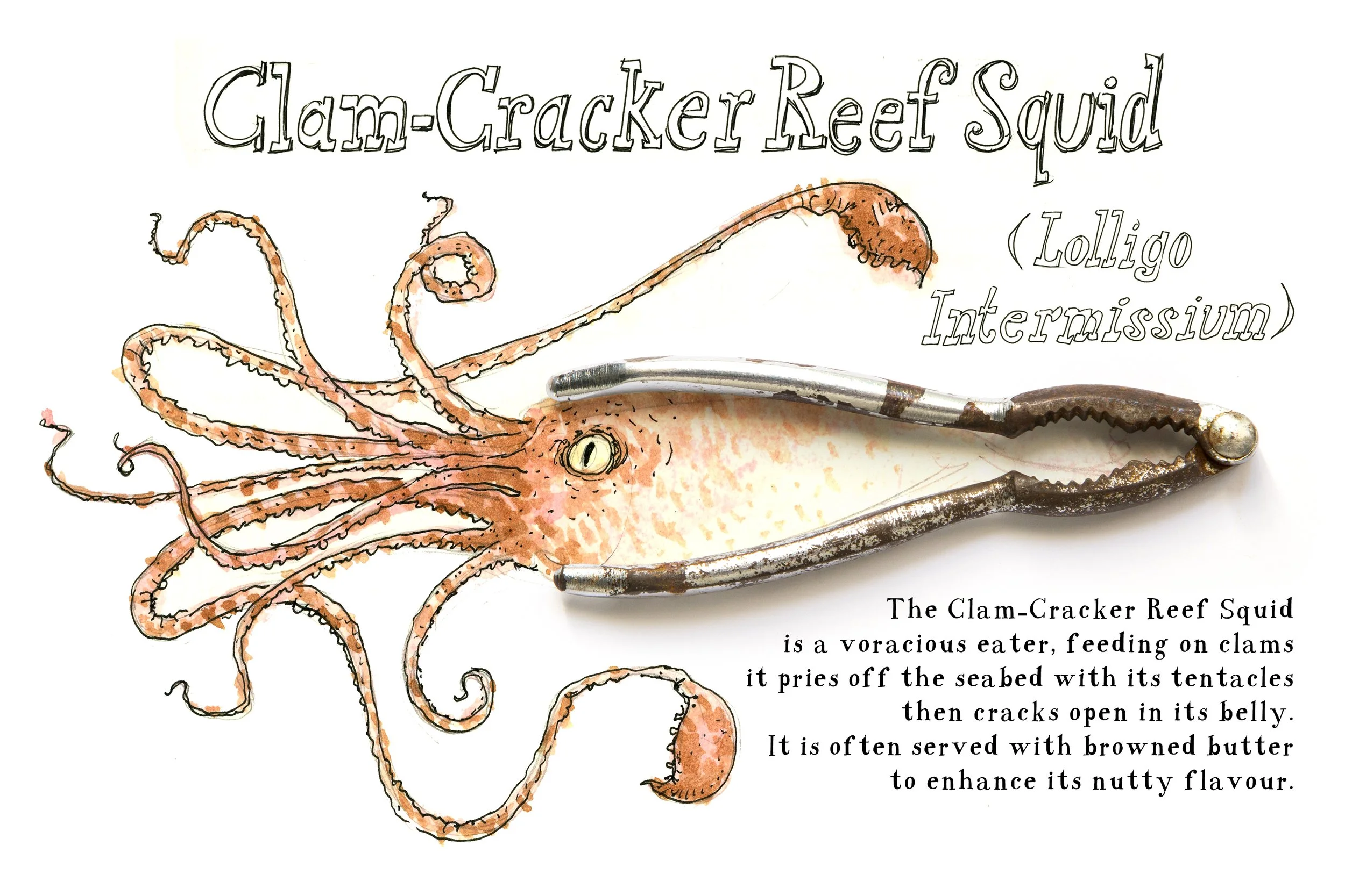 Squid watercolor illustration, comic drawing of a squid with found object. 