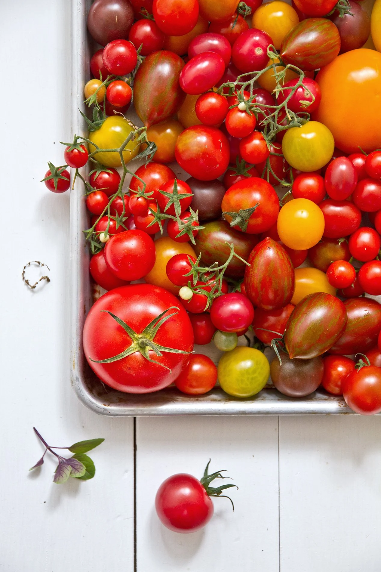 Overhead shot of a baking tray piled with heirloom tomatoes in varied shapes, sizes, and colors, on a white wood surface.