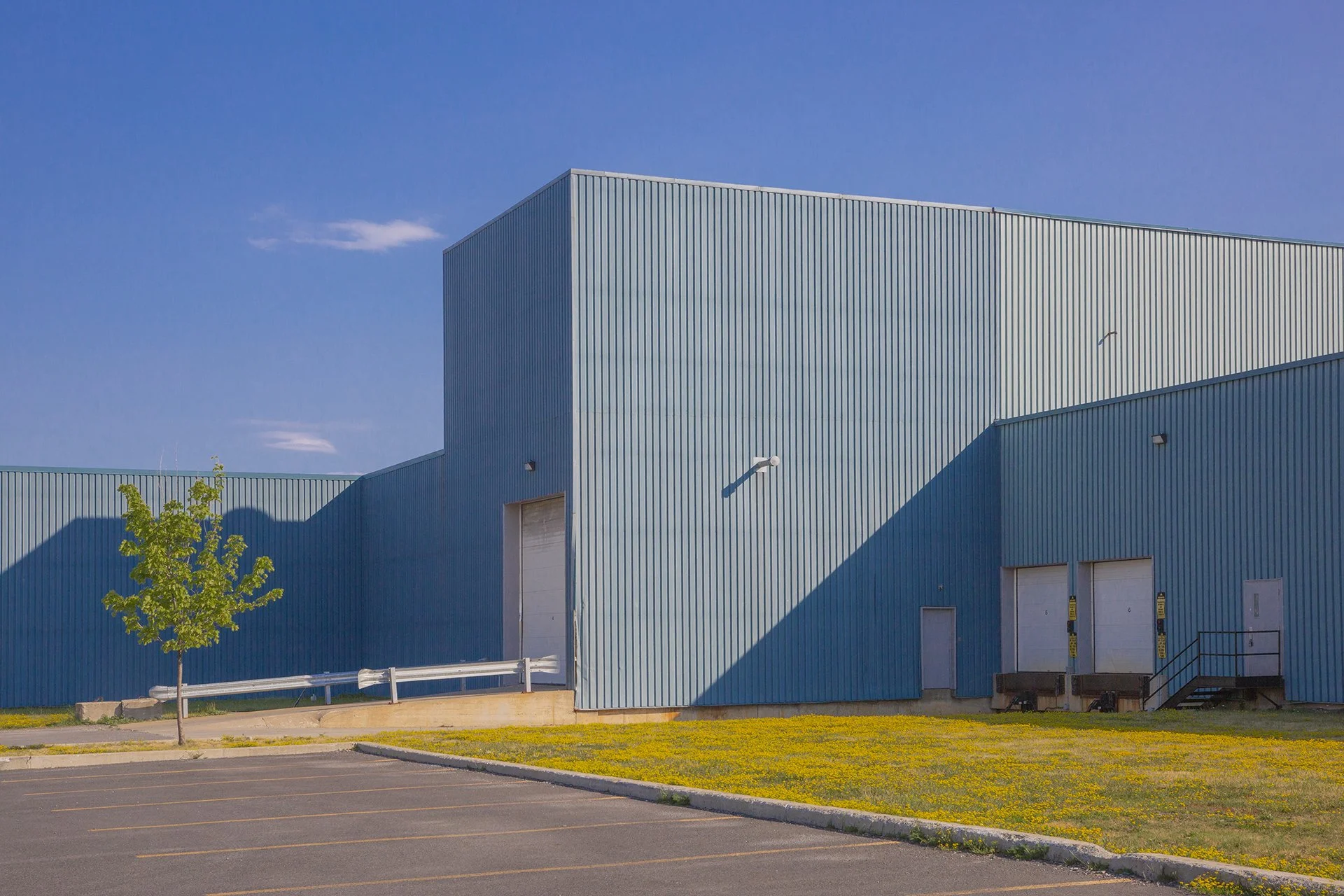 Blue corrugated metal warehouse with loading docks beside a field of yellow wildflowers, under clear blue sky.