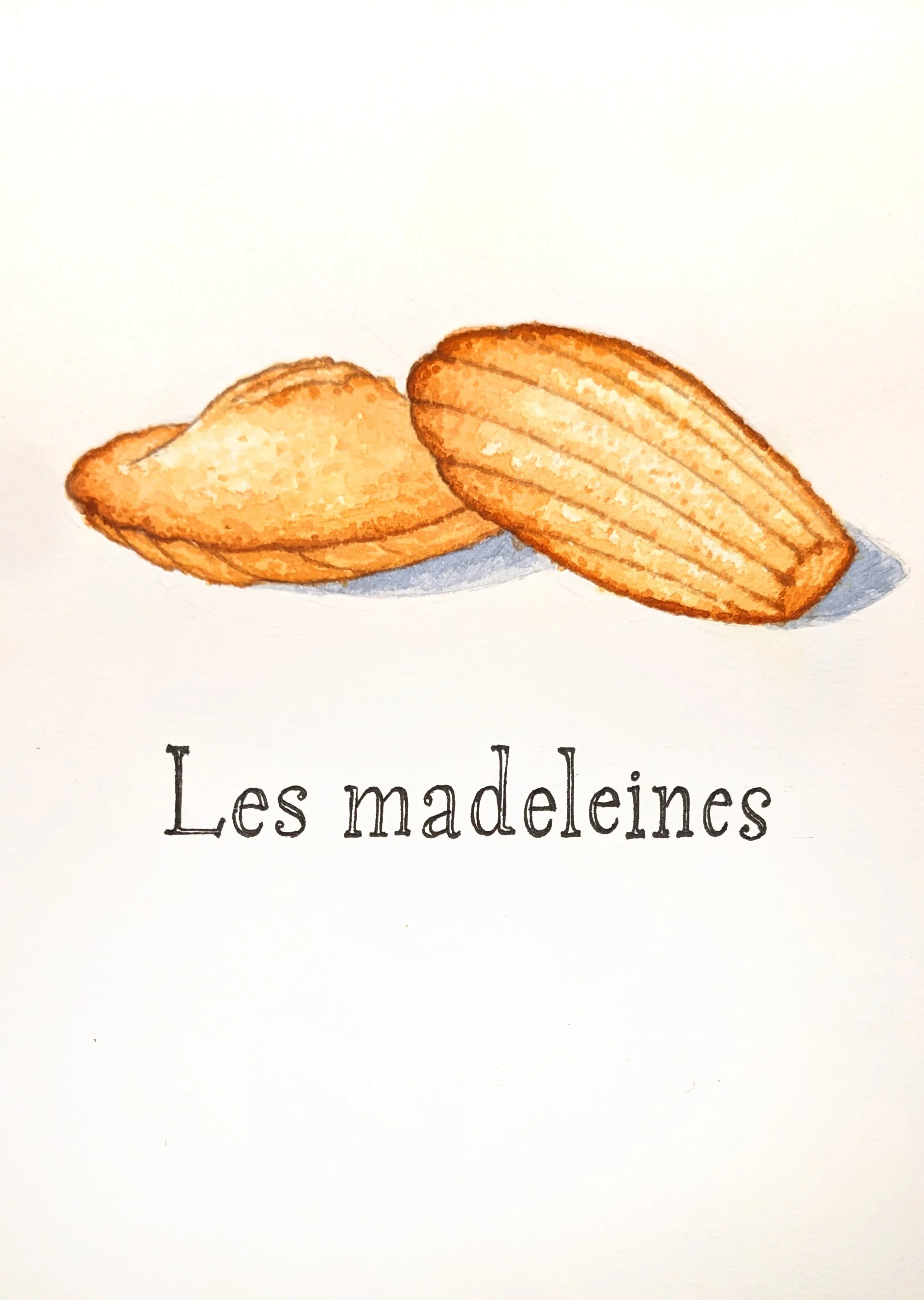 Watercolor illustration of French Madeleine, food art, pastry illustration in color