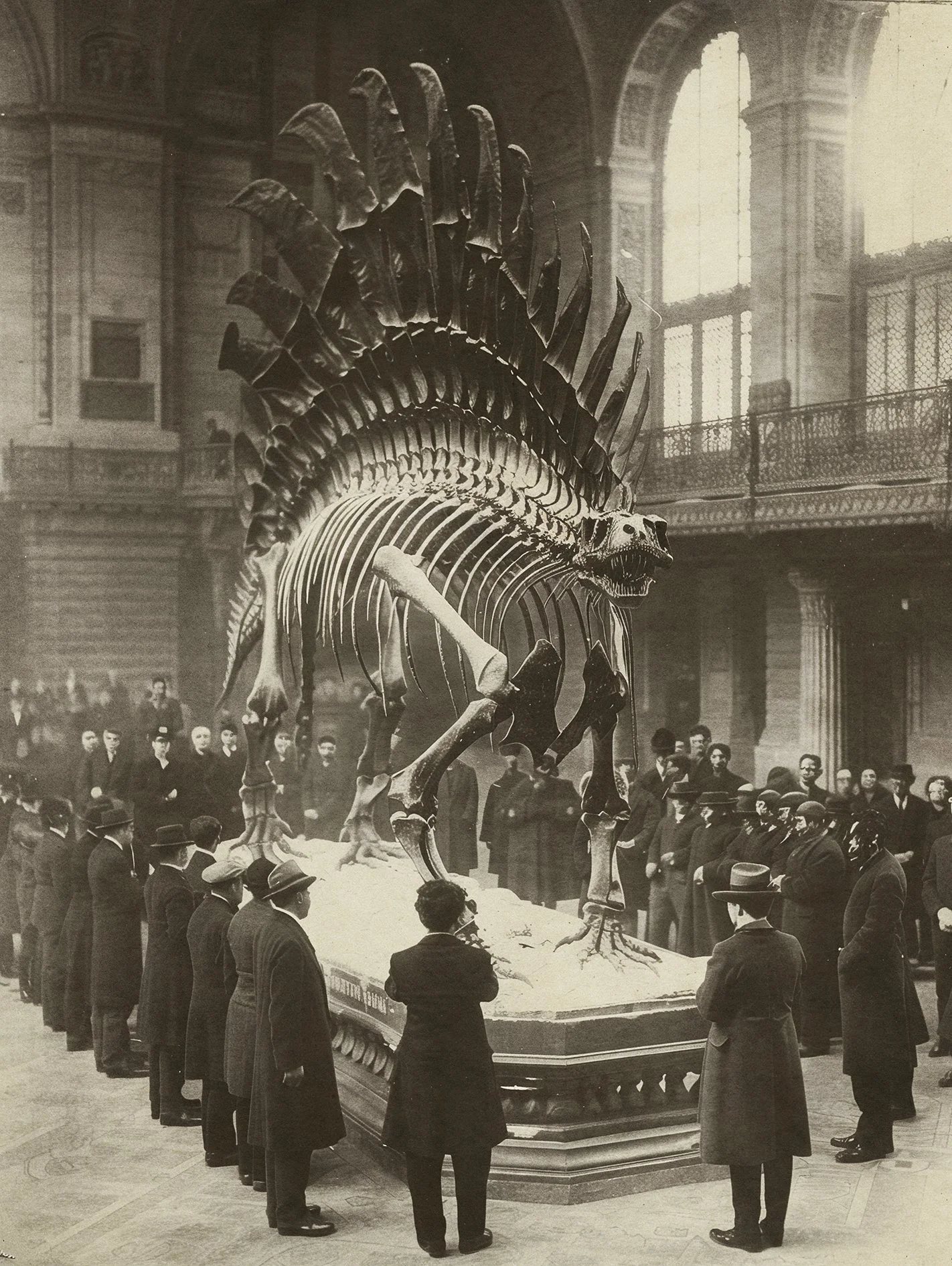 The Fossil Gallery in the Peabody Natural History Museum in Utropiia, giant dinosaur skeleton in display with onlookers