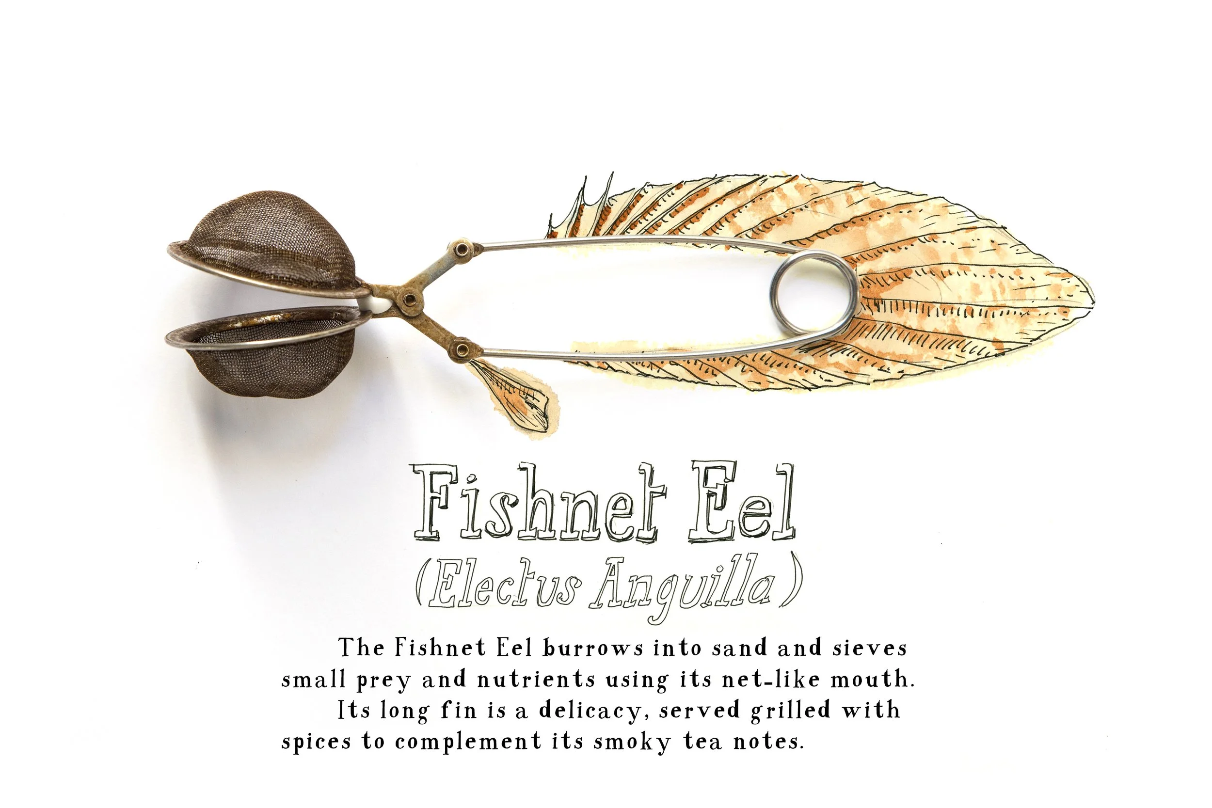 Funny illustration with found object, vintage kitchen tool with eel watercolor illustration