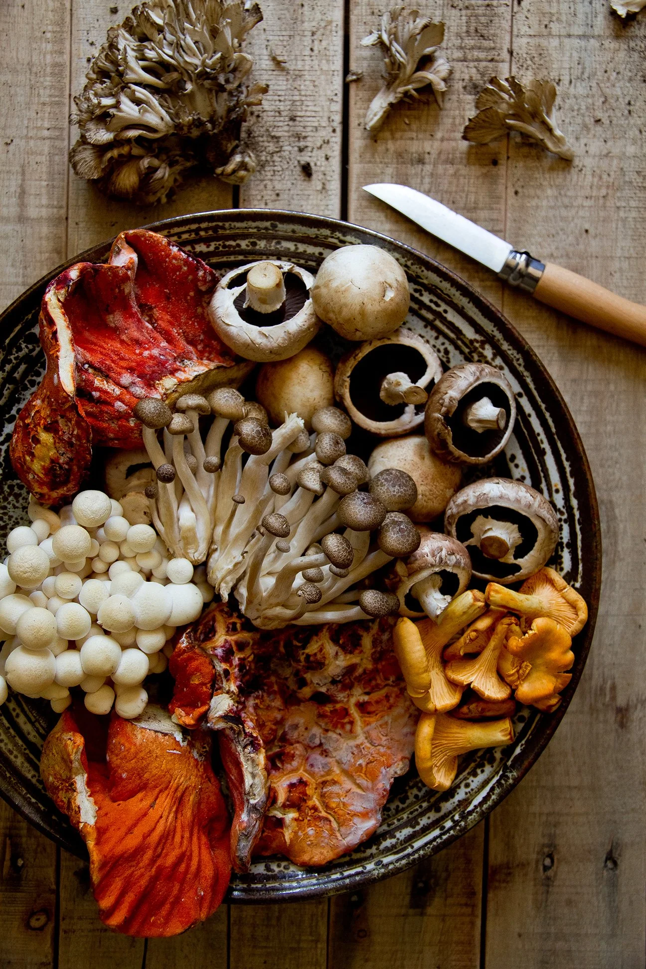 Overhead shot of an assortment of wild and cultivated mushrooms, including lobster mushrooms, chanterelles, and shimeji, on a rustic plate beside a paring knife.
