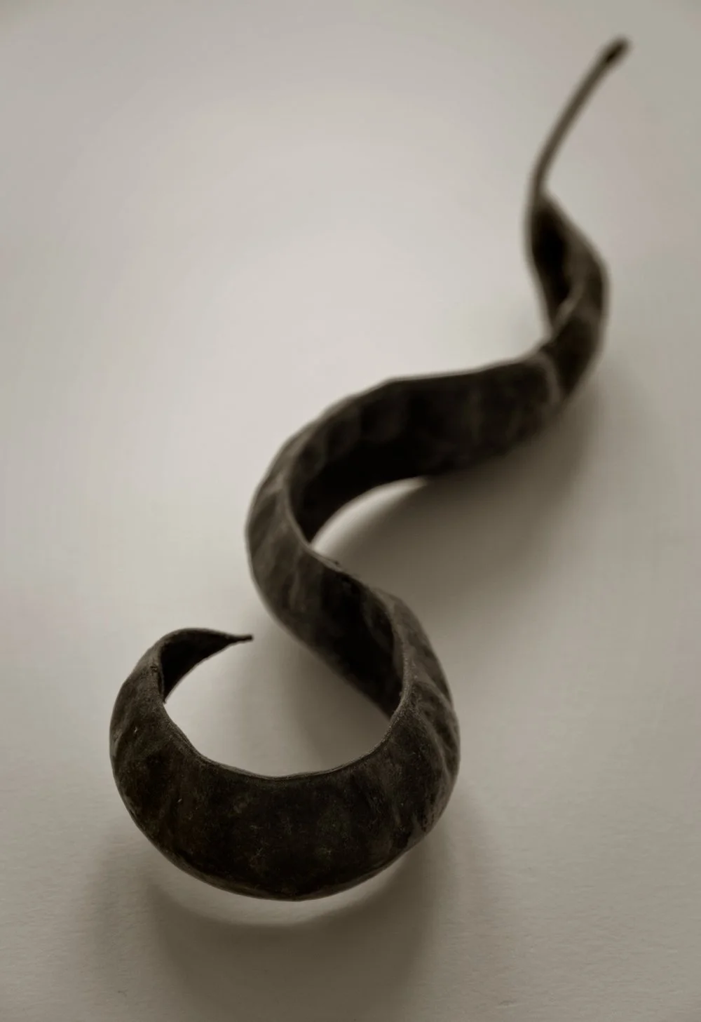 Dried plant seed pod captured in moody black and white against white background, fine art photography by Lionel May

